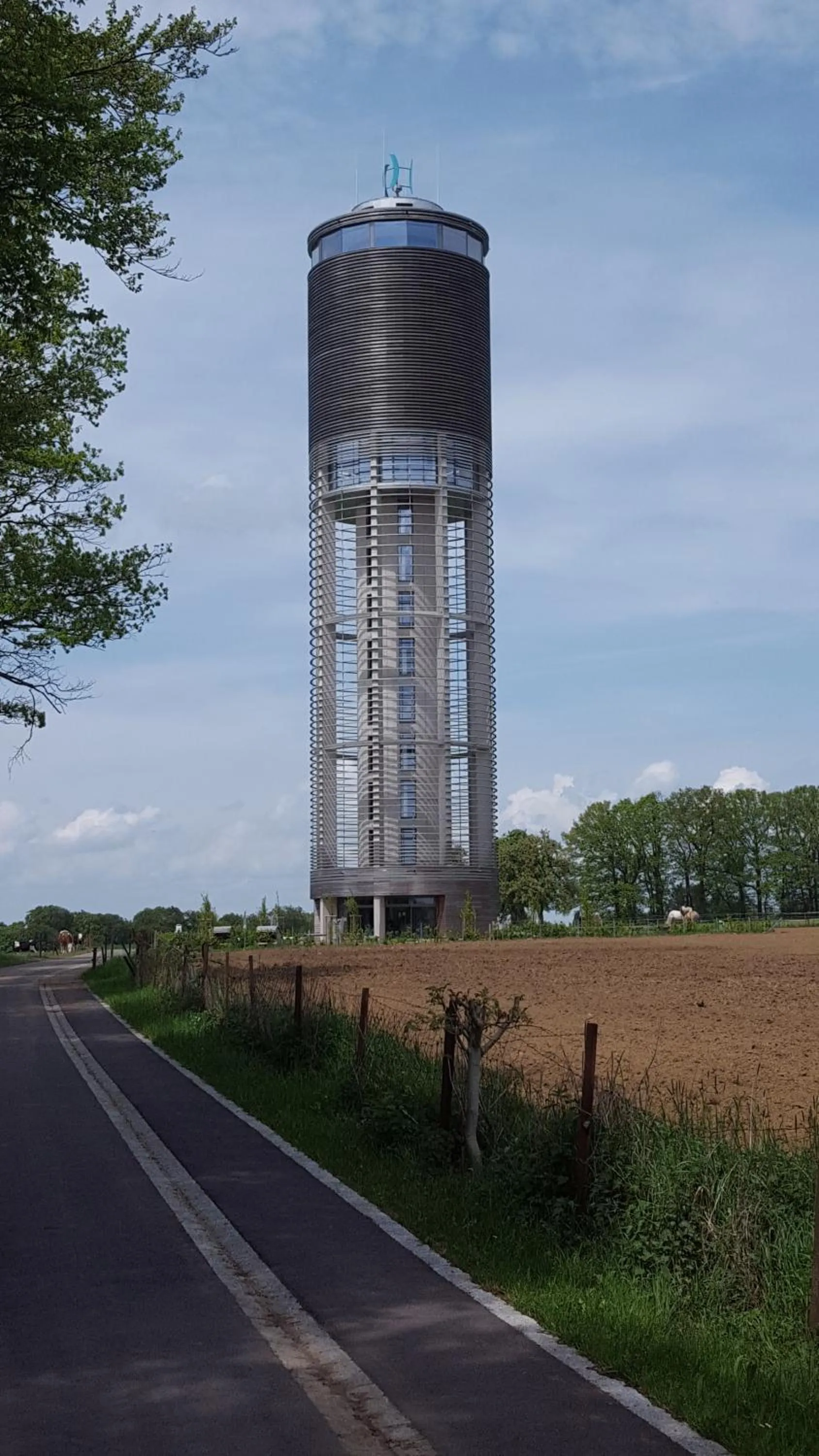 Area and facilities in Hotel Hauer
