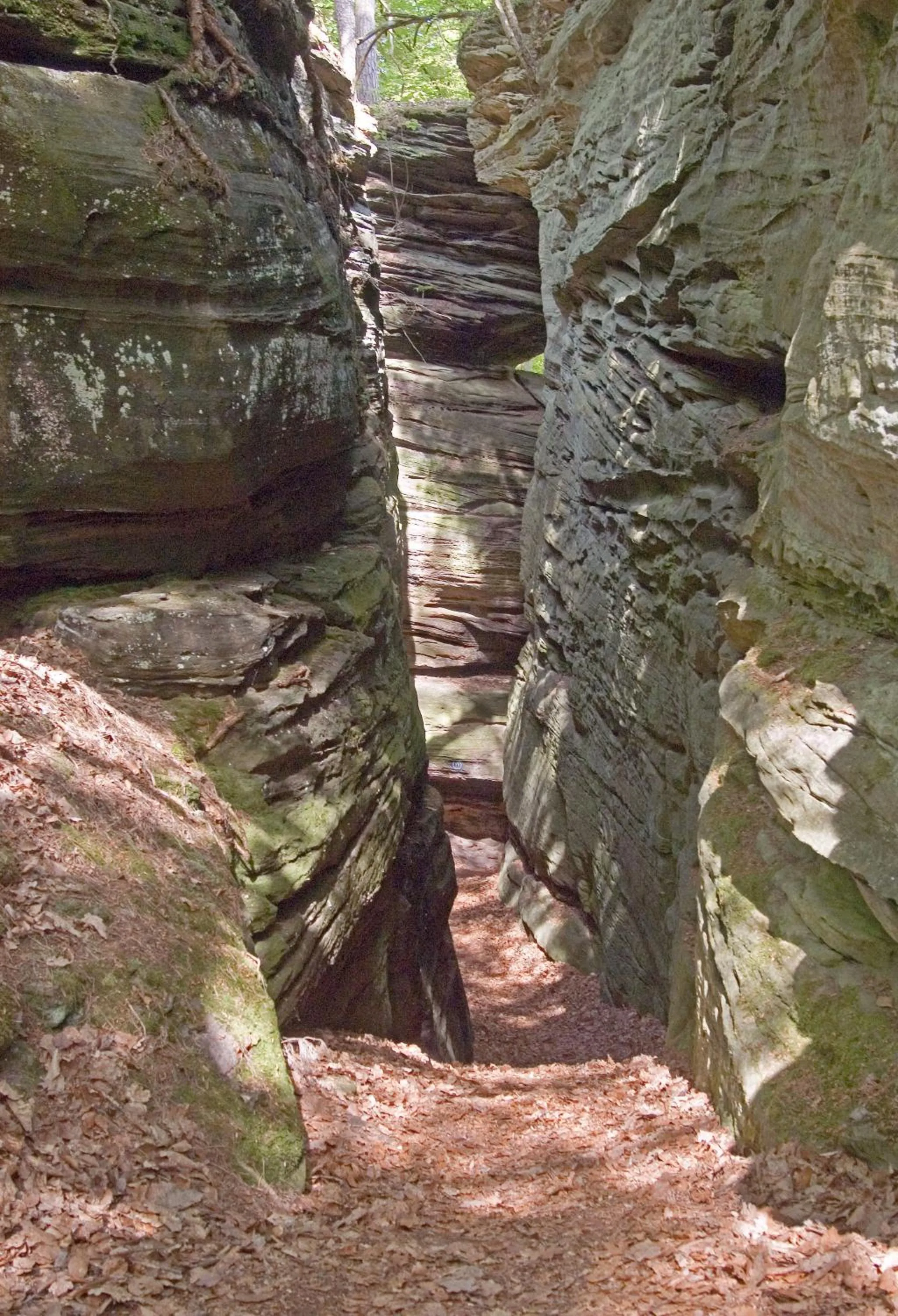 Natural landscape in Hotel Hauer