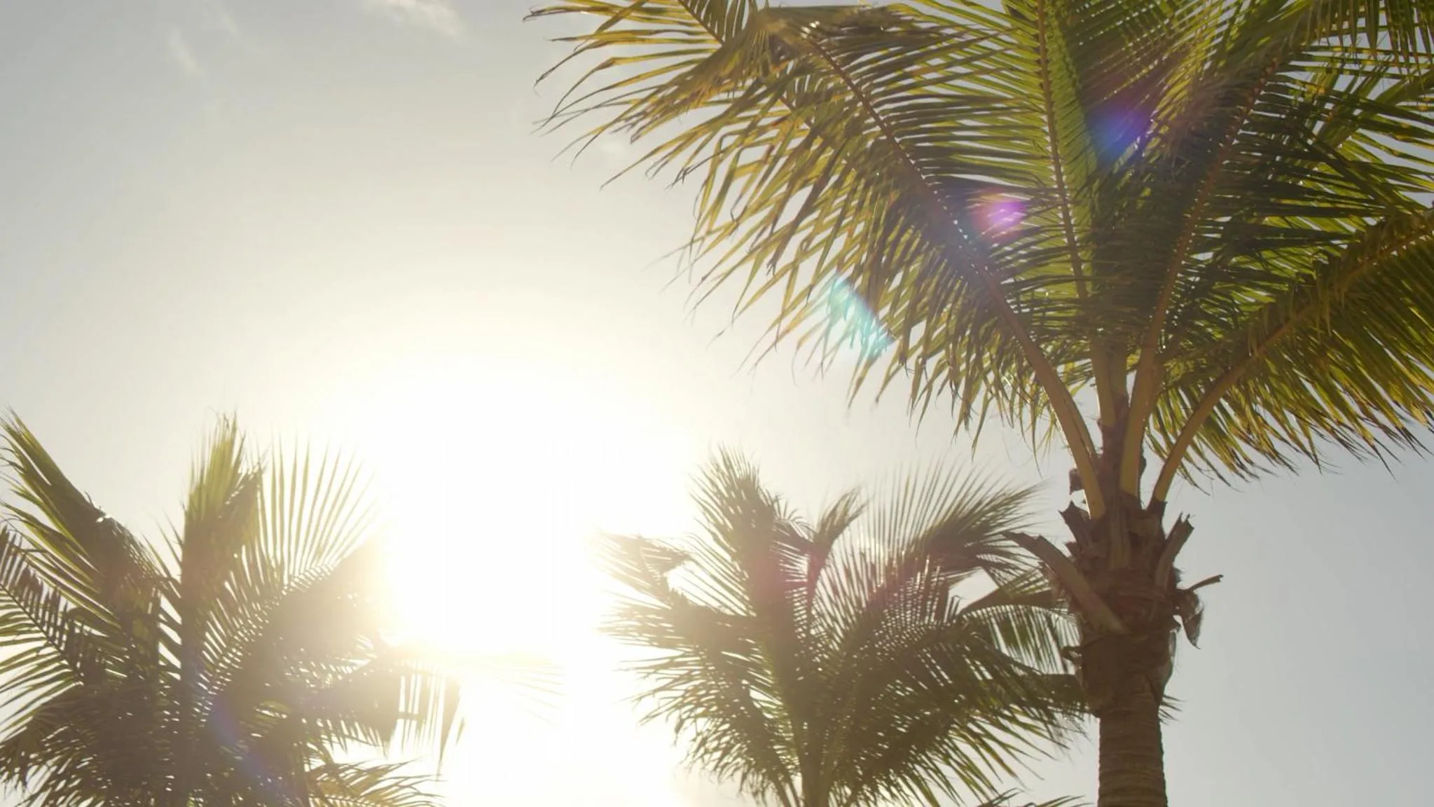 Property building in Secrets Riviera Cancún Resort & Spa - Adults Only - All inclusive