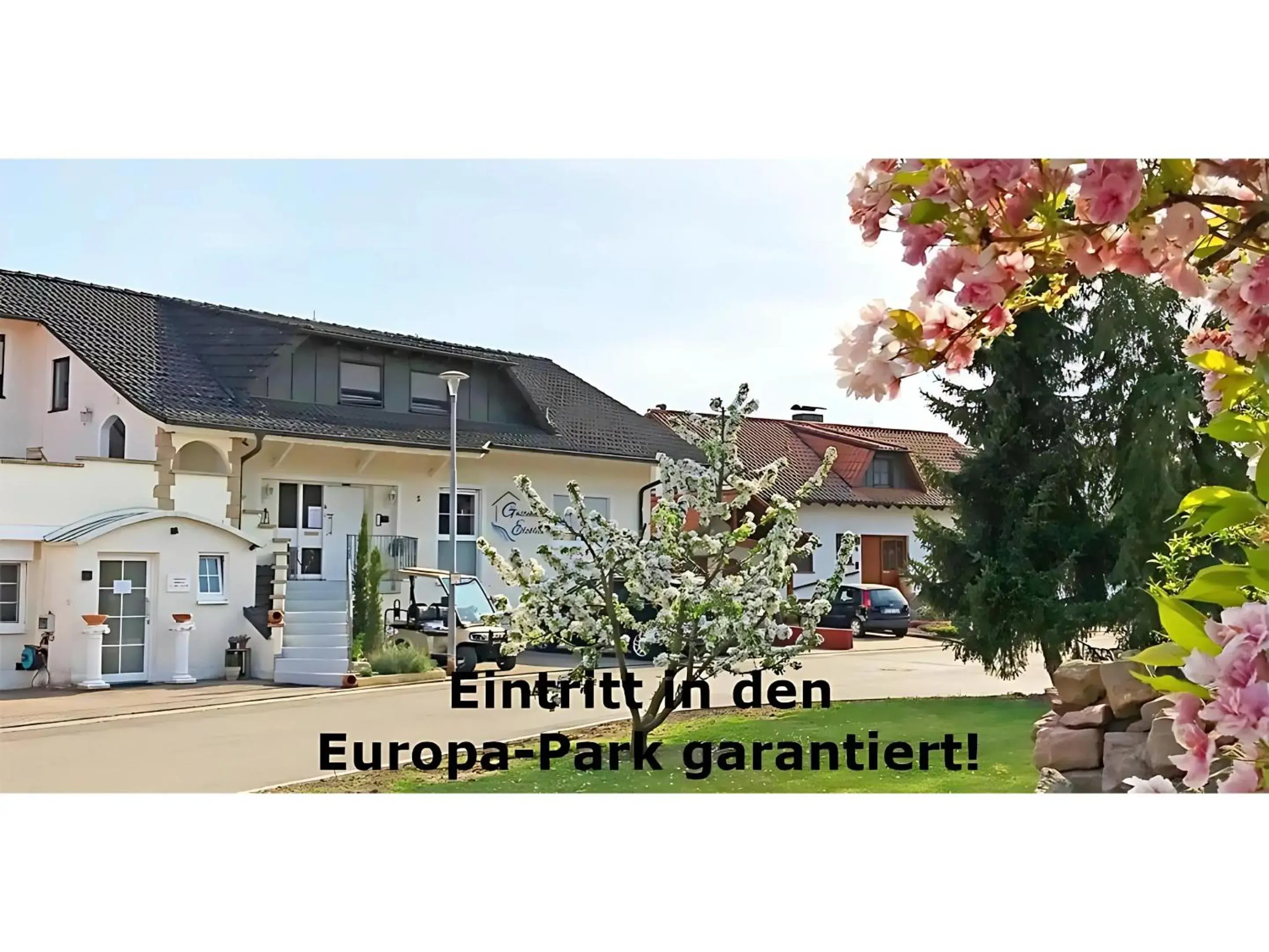 Gästehaus Elzblick Gästehaus Elzblick