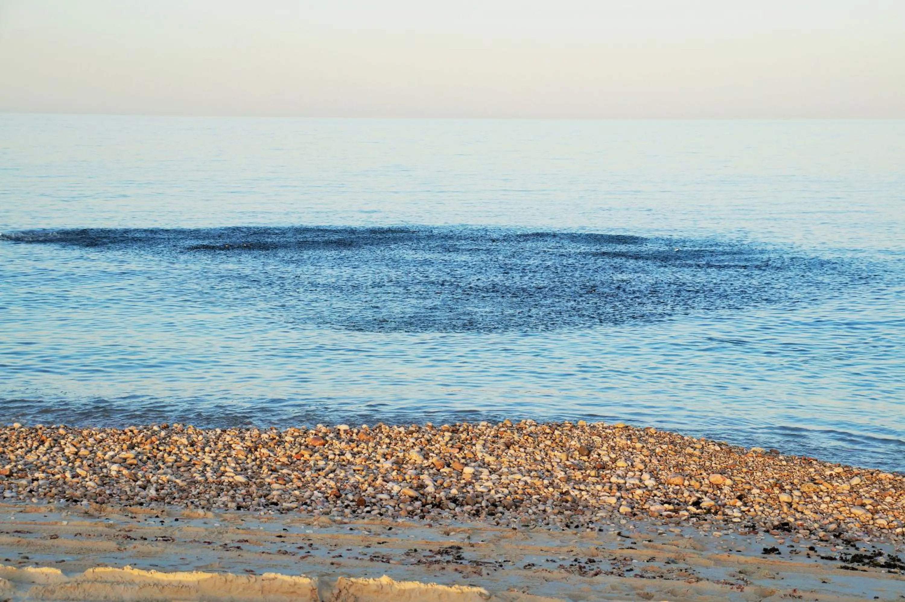 Natural landscape in Tiwi Sunrise