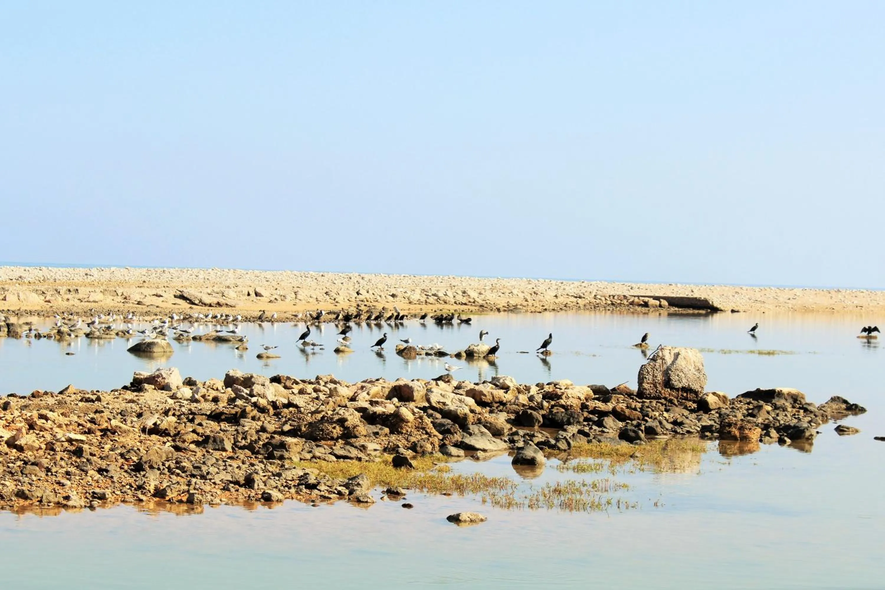 Neighbourhood in Tiwi Sunrise