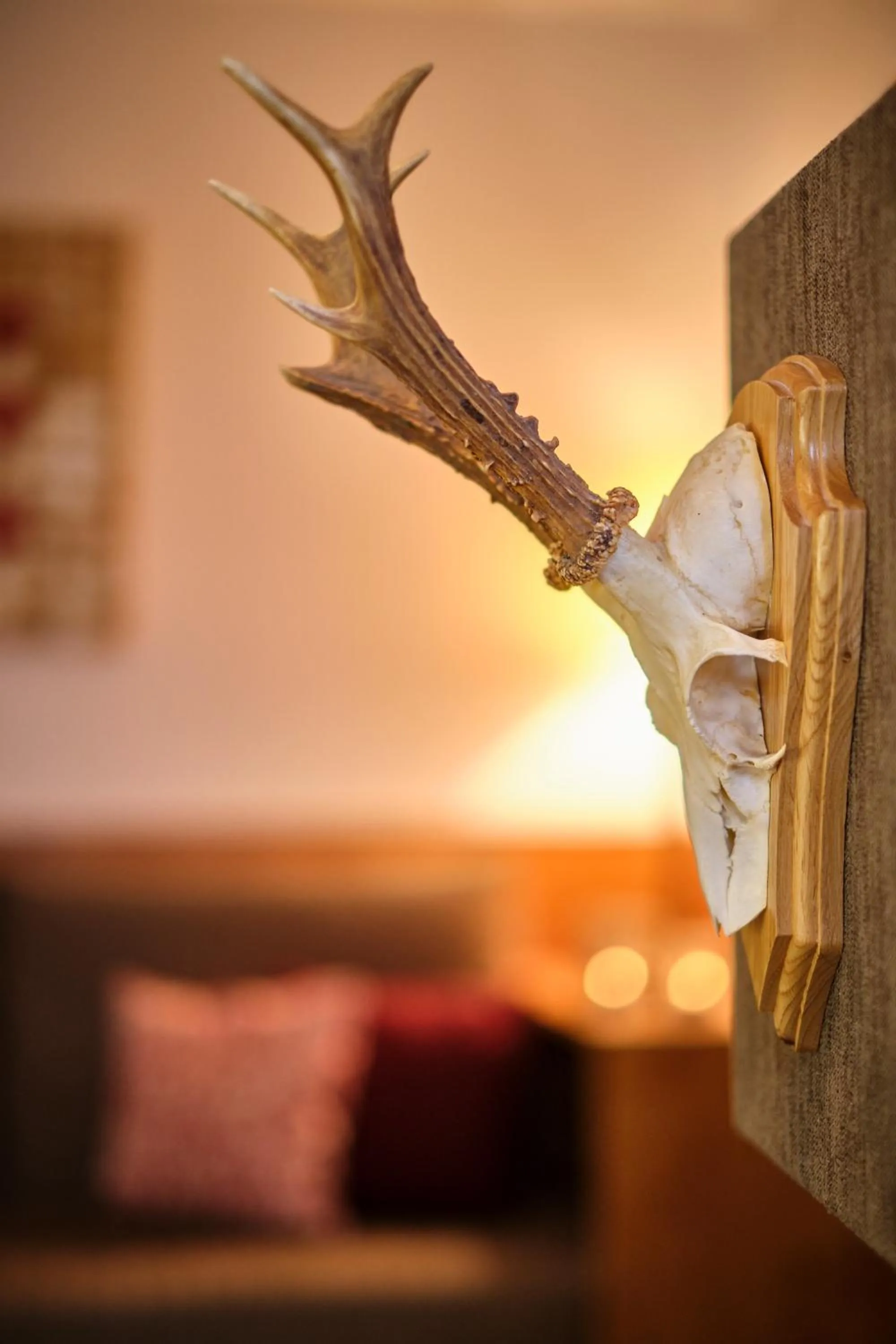 Decorative detail in Hotel Waldhaus Föckinghausen