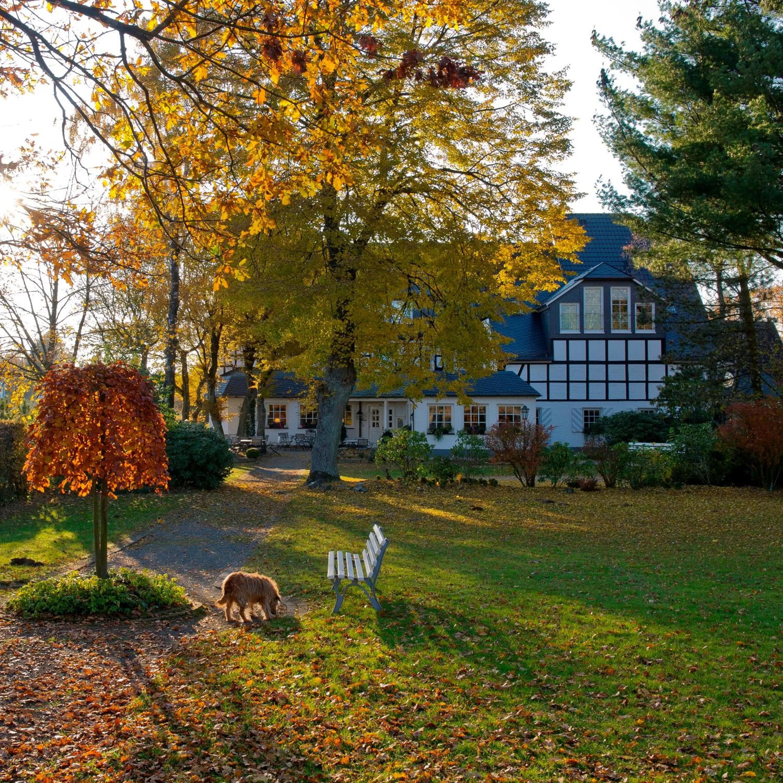 Property building in Hotel Waldhaus Föckinghausen
