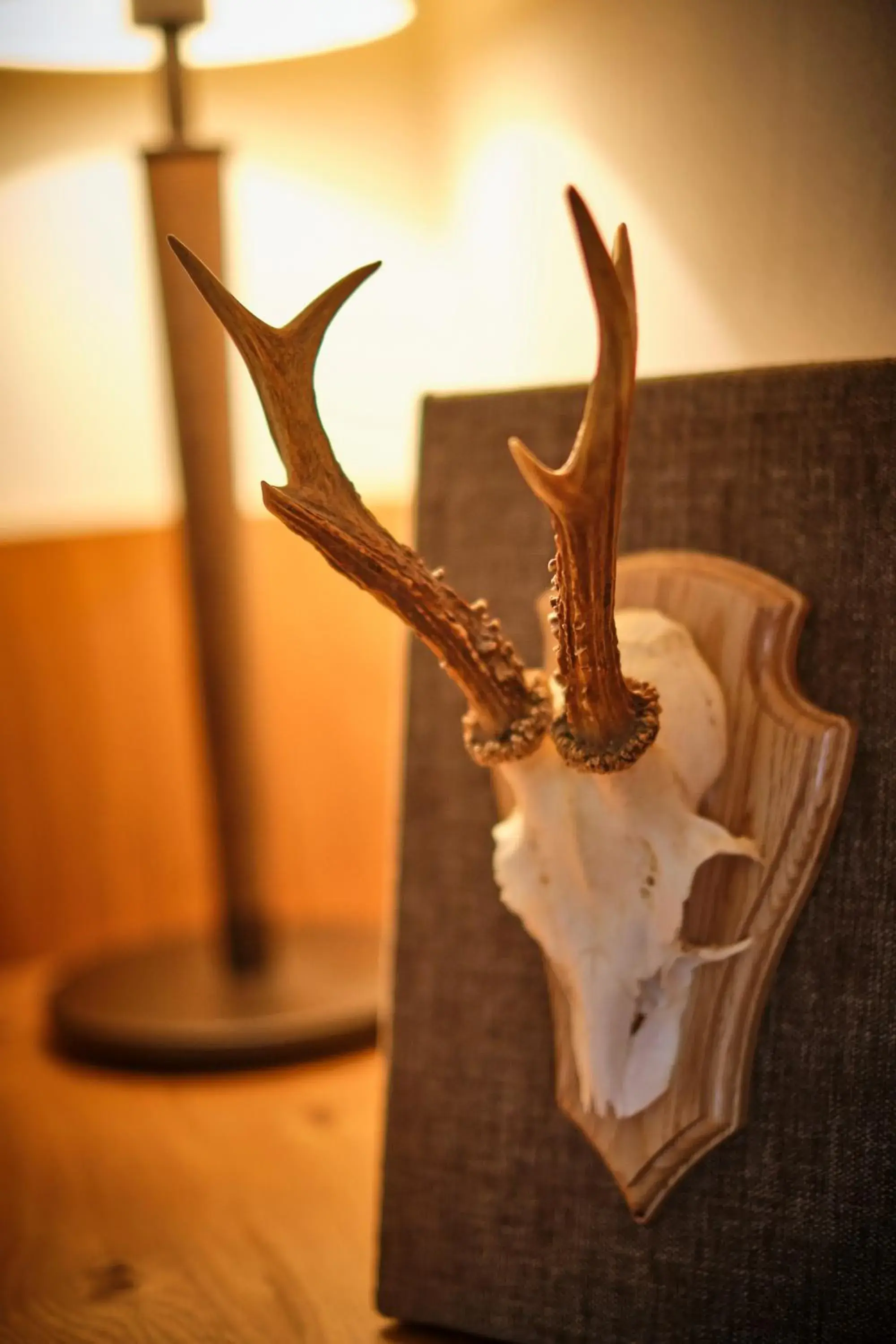 Single Room in Waldhaus Föckinghausen Hotel Ferienwohnung Ferienhaus Single Room in Waldhaus Föckinghausen Hotel Ferienwohnung Ferienhaus