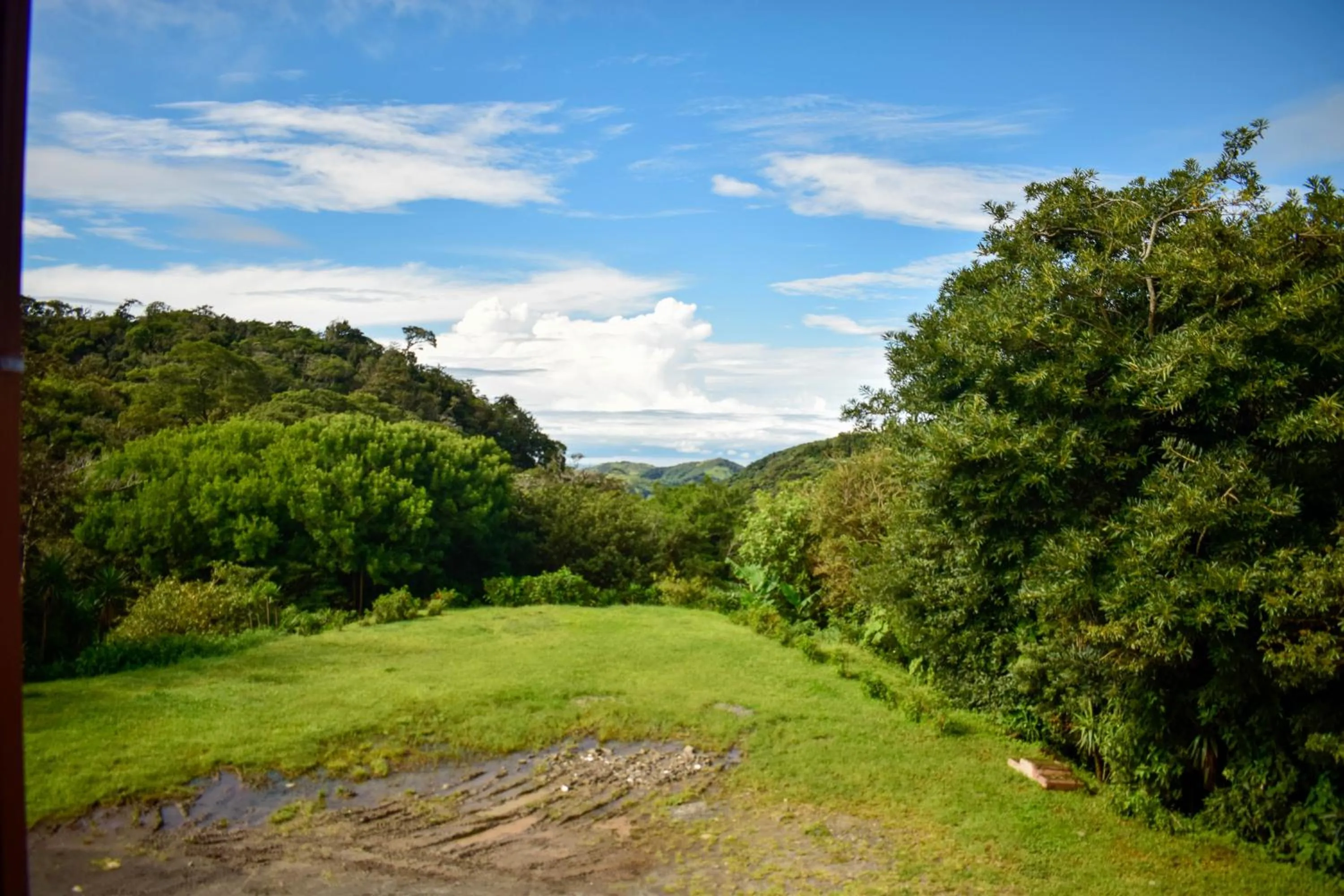 Natural landscape in Cabinas Selva Verde