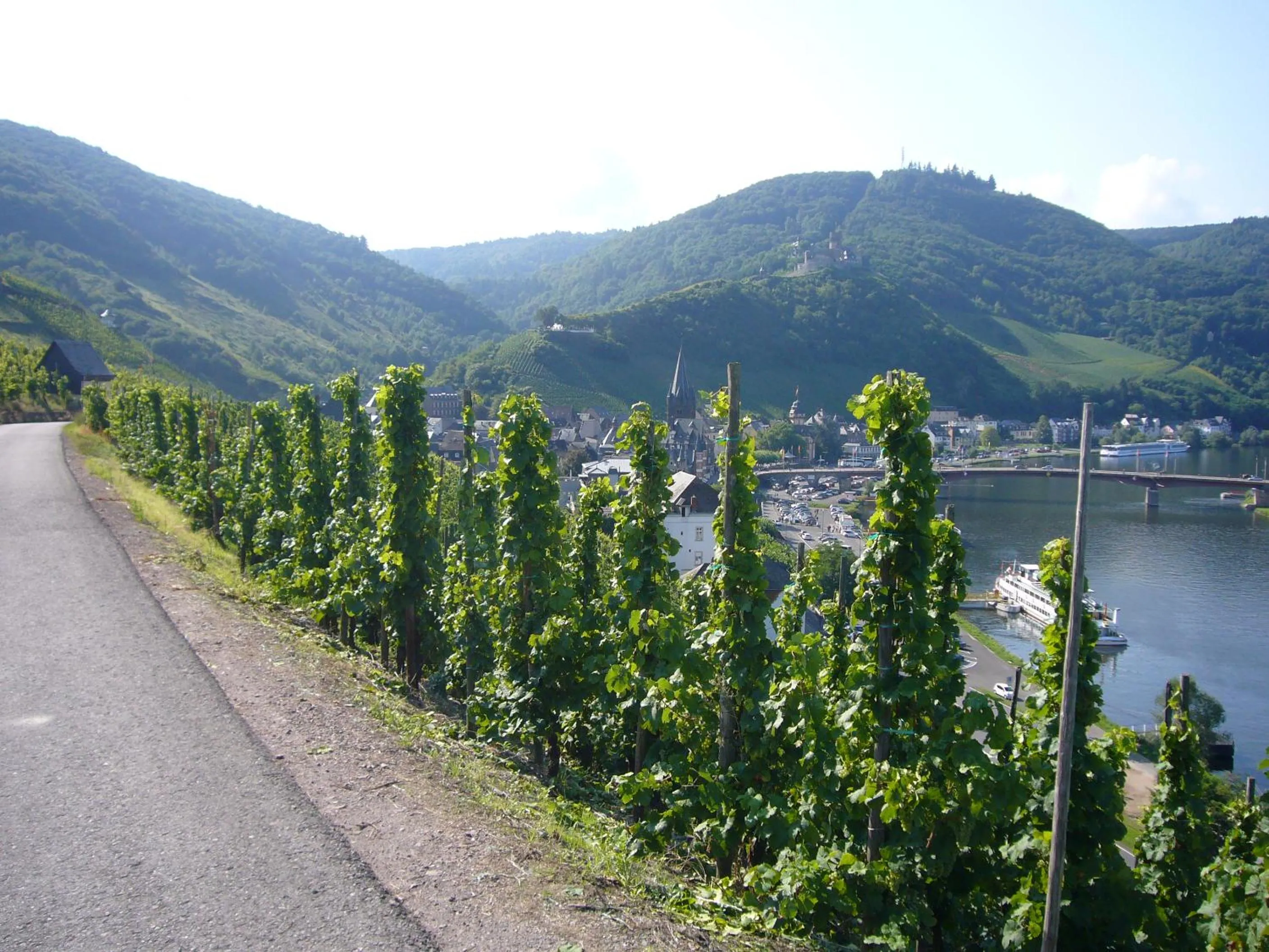 Natural landscape in Christiana's Wein & Art Hotel