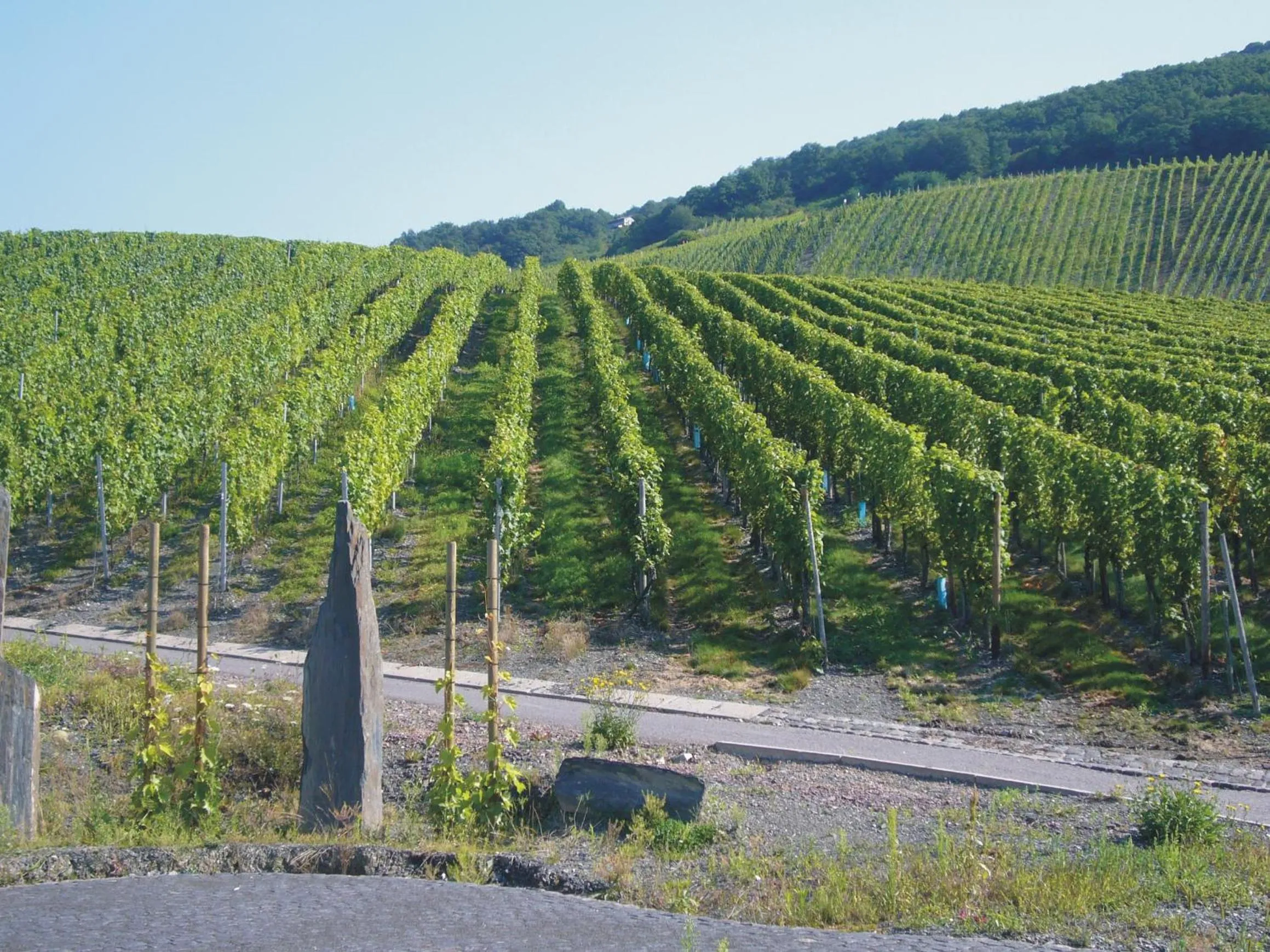 Day in Christiana's Wein & Art Hotel