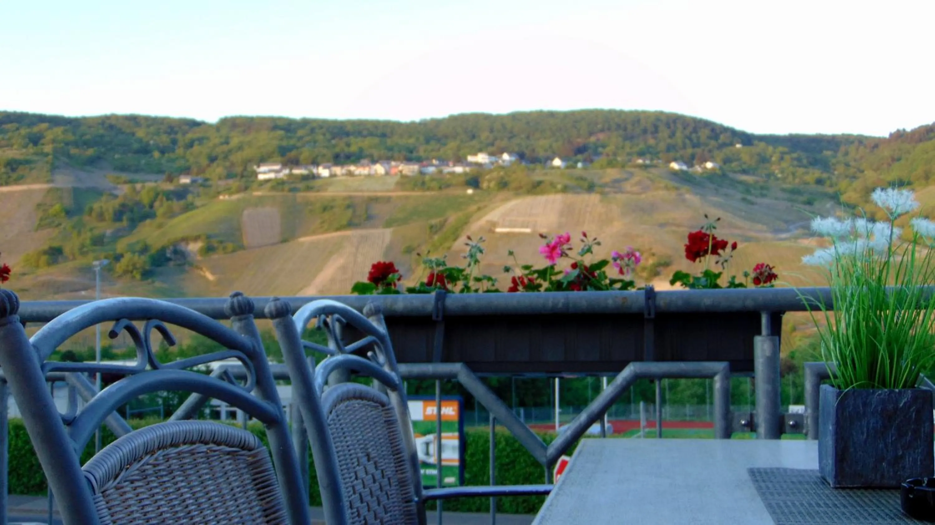 Balcony/Terrace in Christiana's Wein & Art Hotel