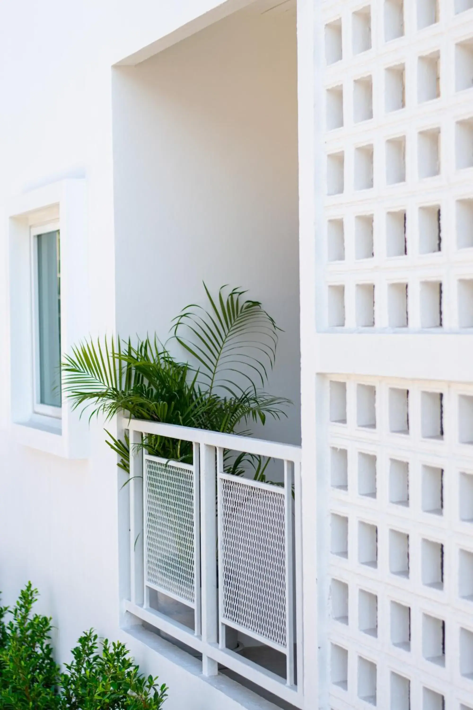 Balcony/Terrace in Matini Premium @ Klong 1 Balcony/Terrace in Matini Premium @ Klong 1