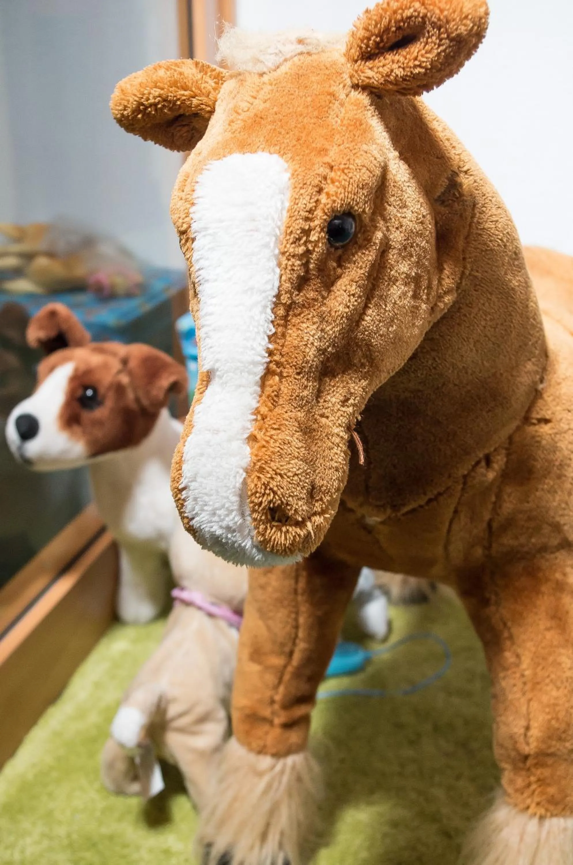 Hotel Villa Elisabeth