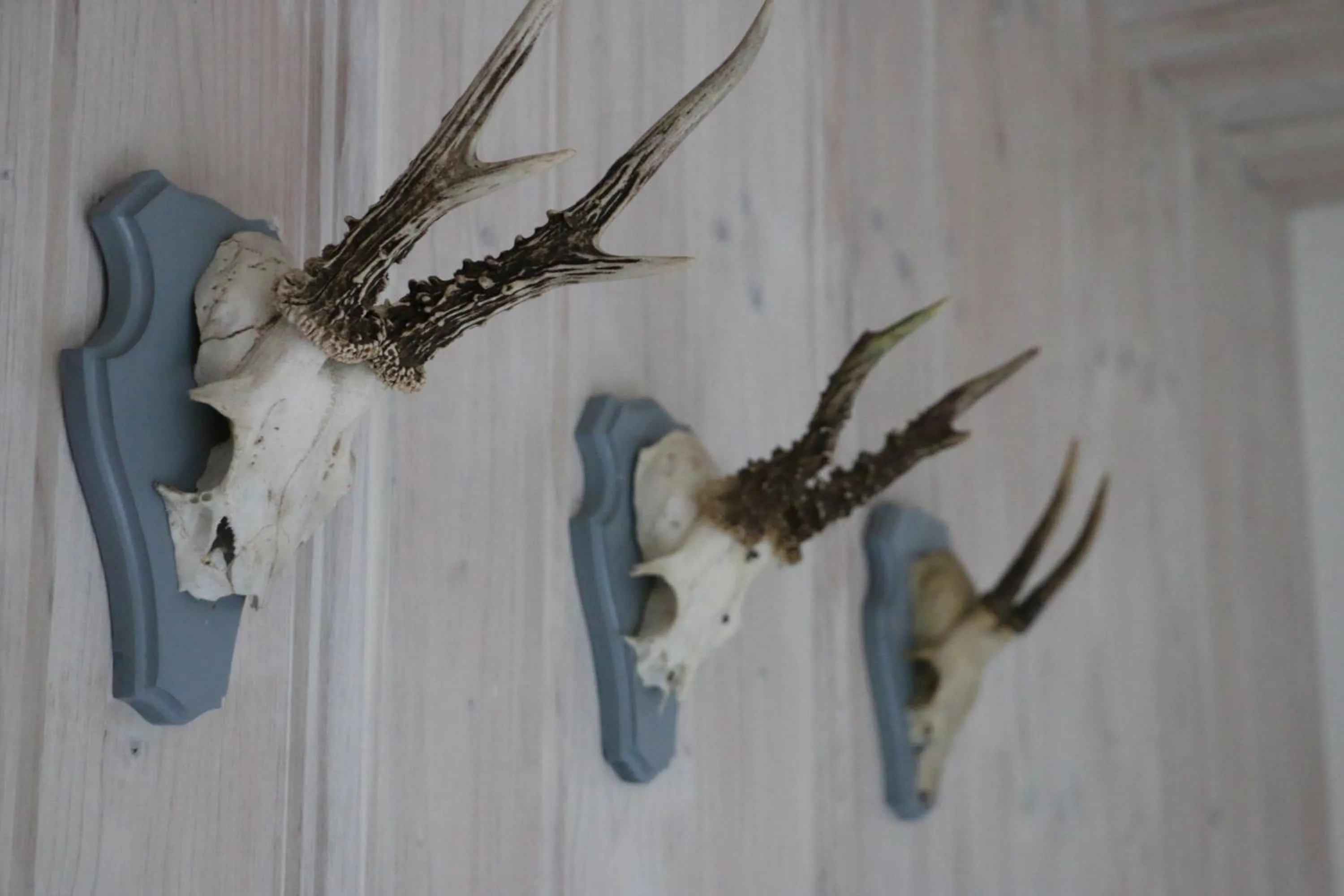 Decorative detail in Landhotel Villa Foresta