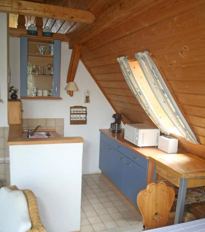 Kitchen or kitchenette in Landhotel Villa Foresta