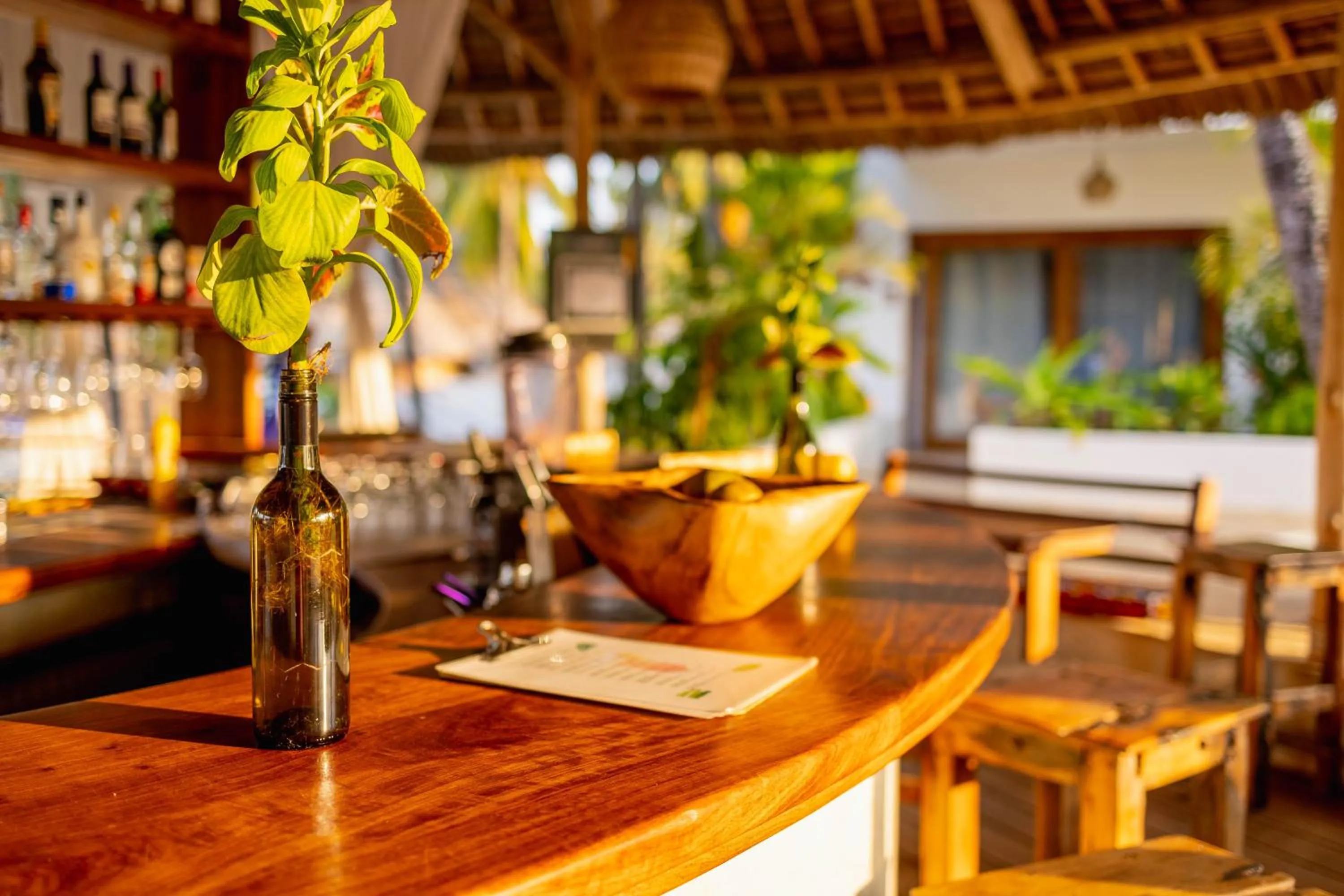 Restaurant/places to eat in Aluna Paje