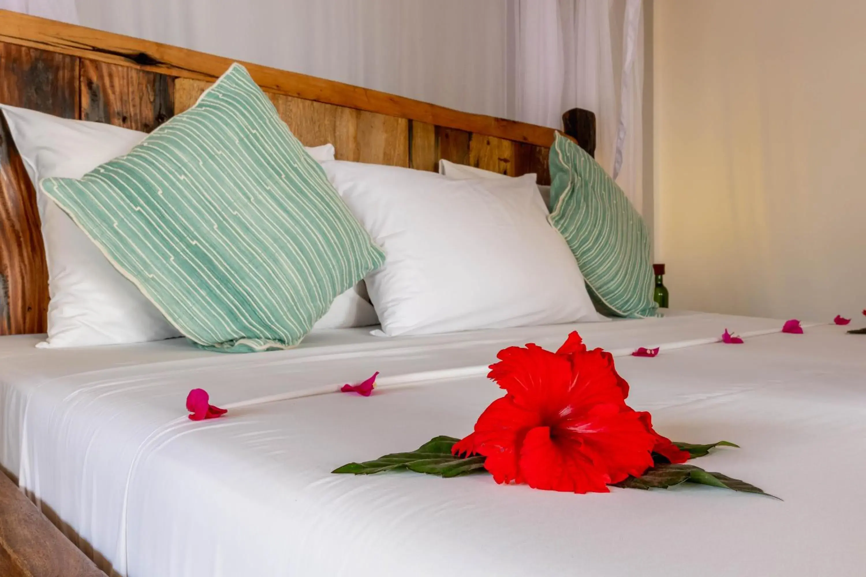 Bed in Aluna Paje Bed in Aluna Paje