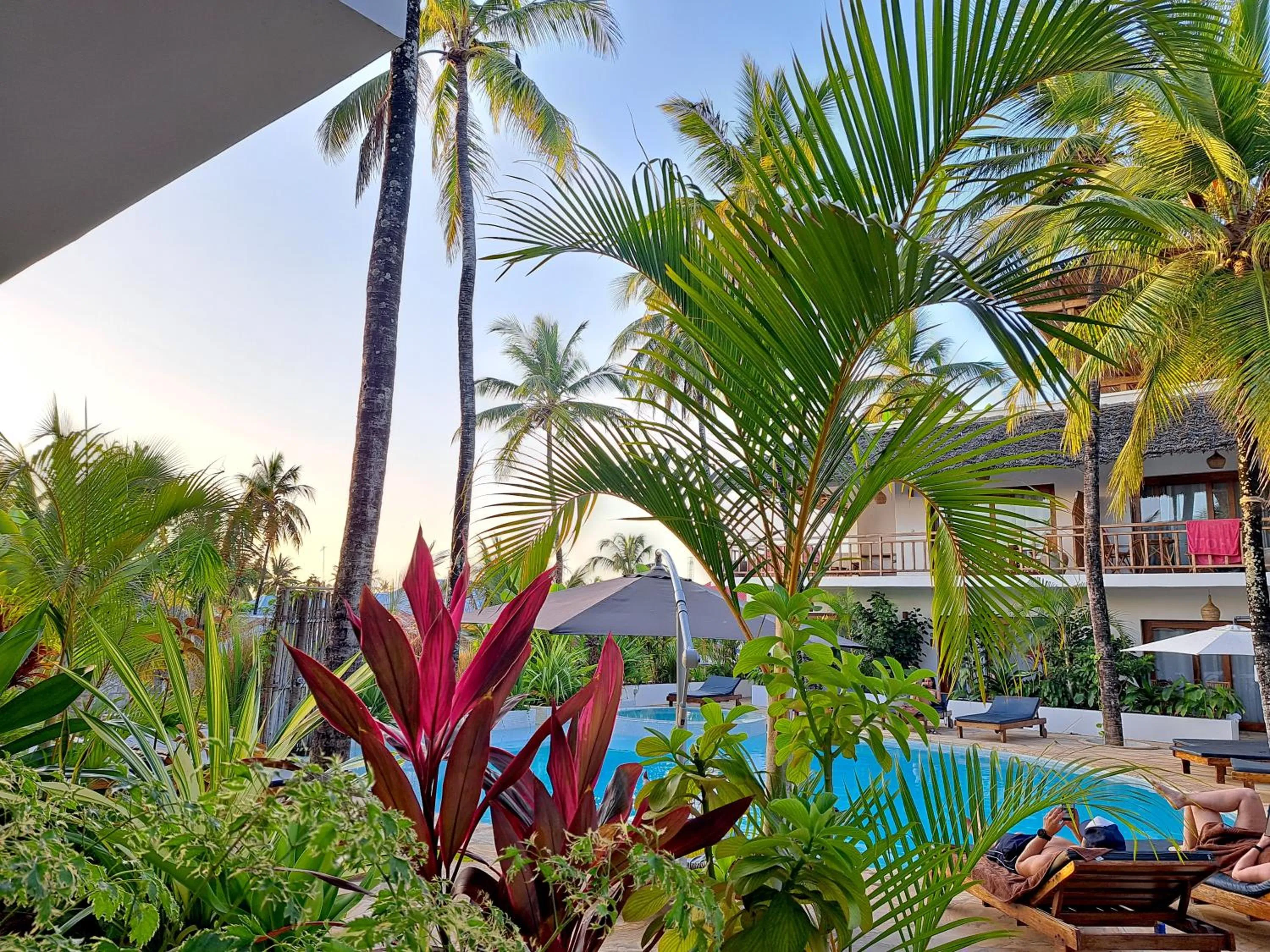 Balcony/Terrace in Aluna Paje