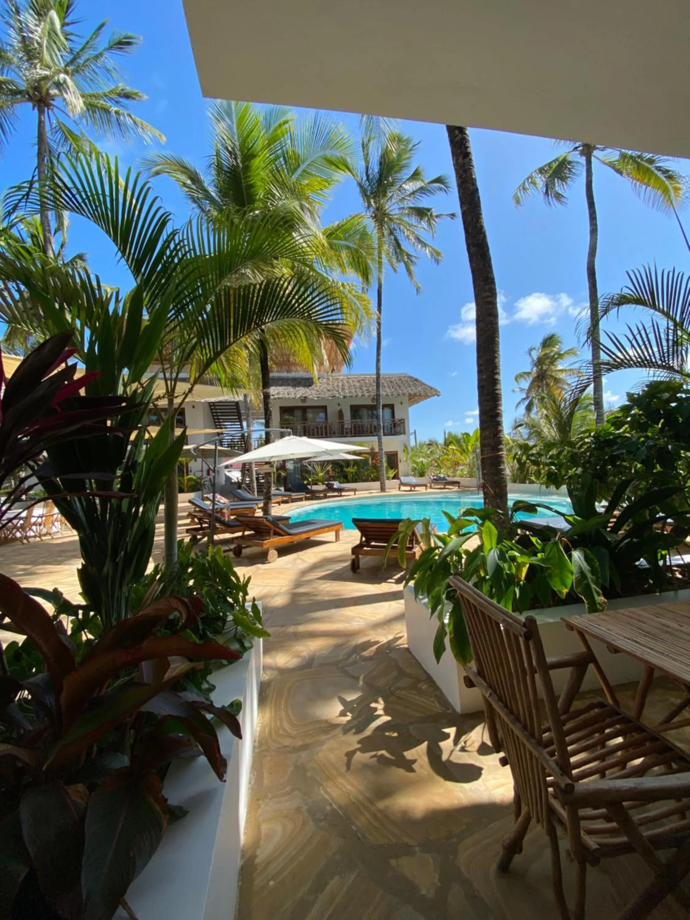 Garden view in Aluna Paje