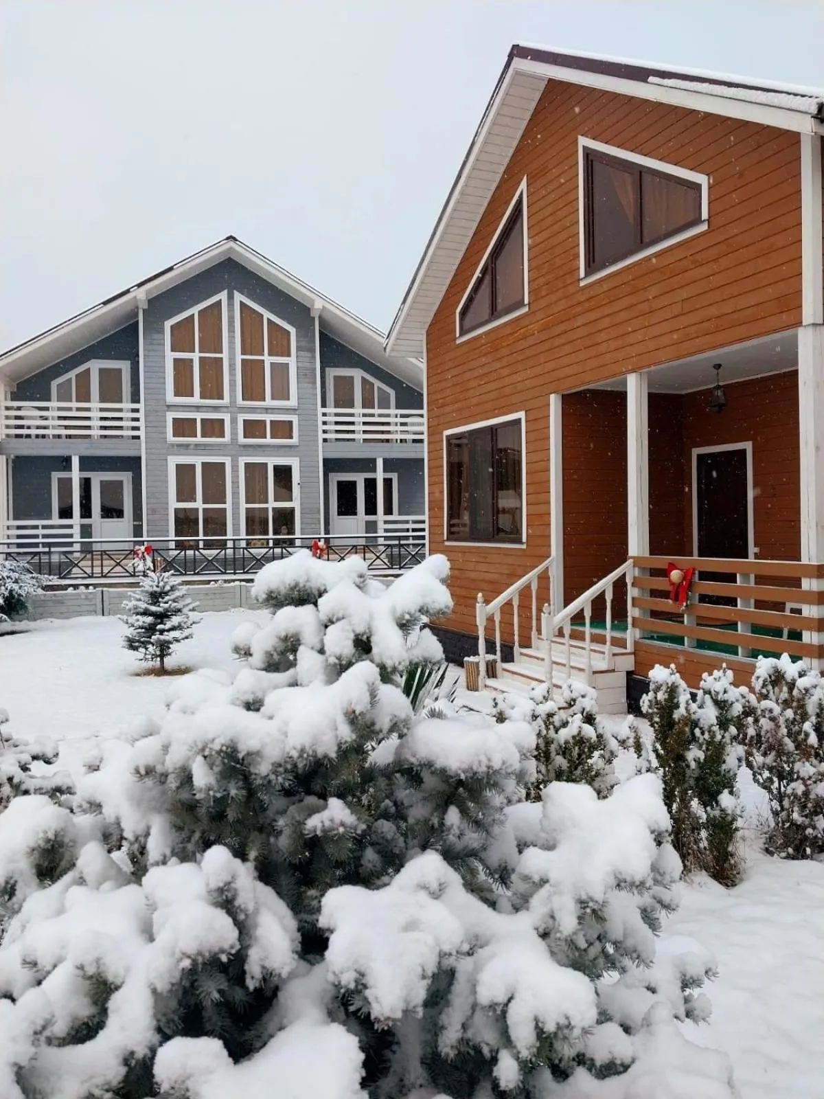 Winter in COTTAGE CHALET and TOURS