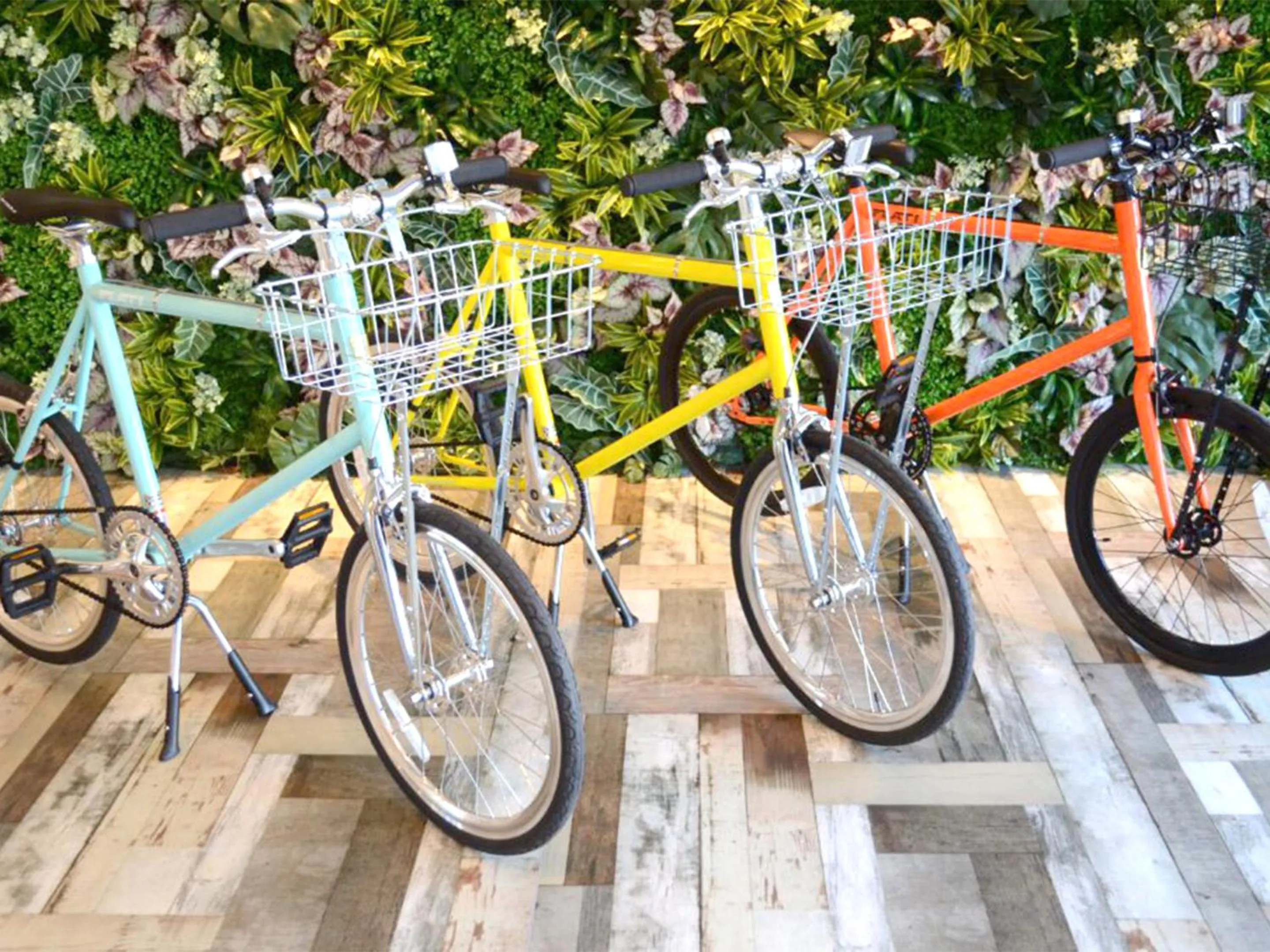 Cycling in H.B.P HOTEL