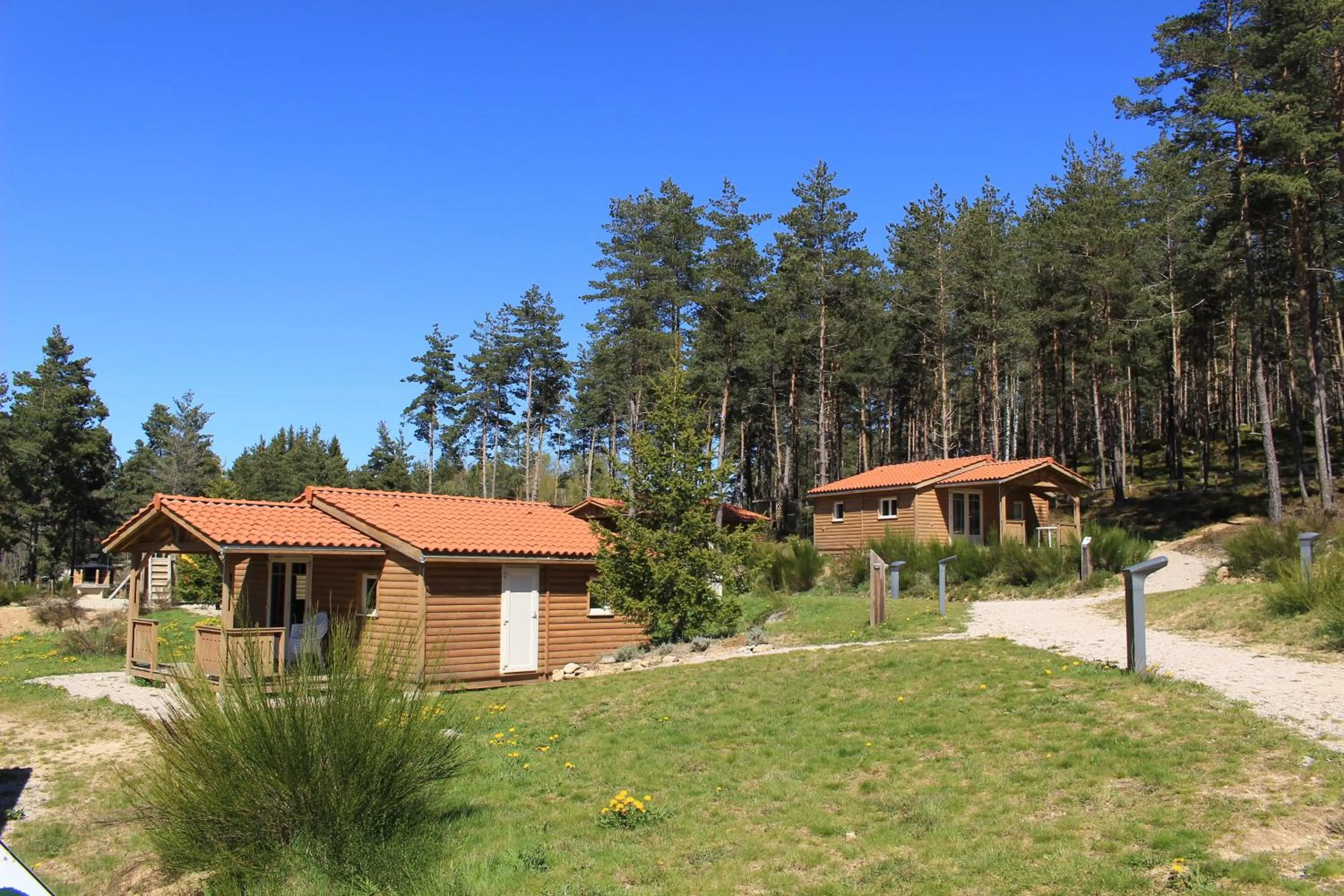 Property building in Les Chalets du Haut-Forez