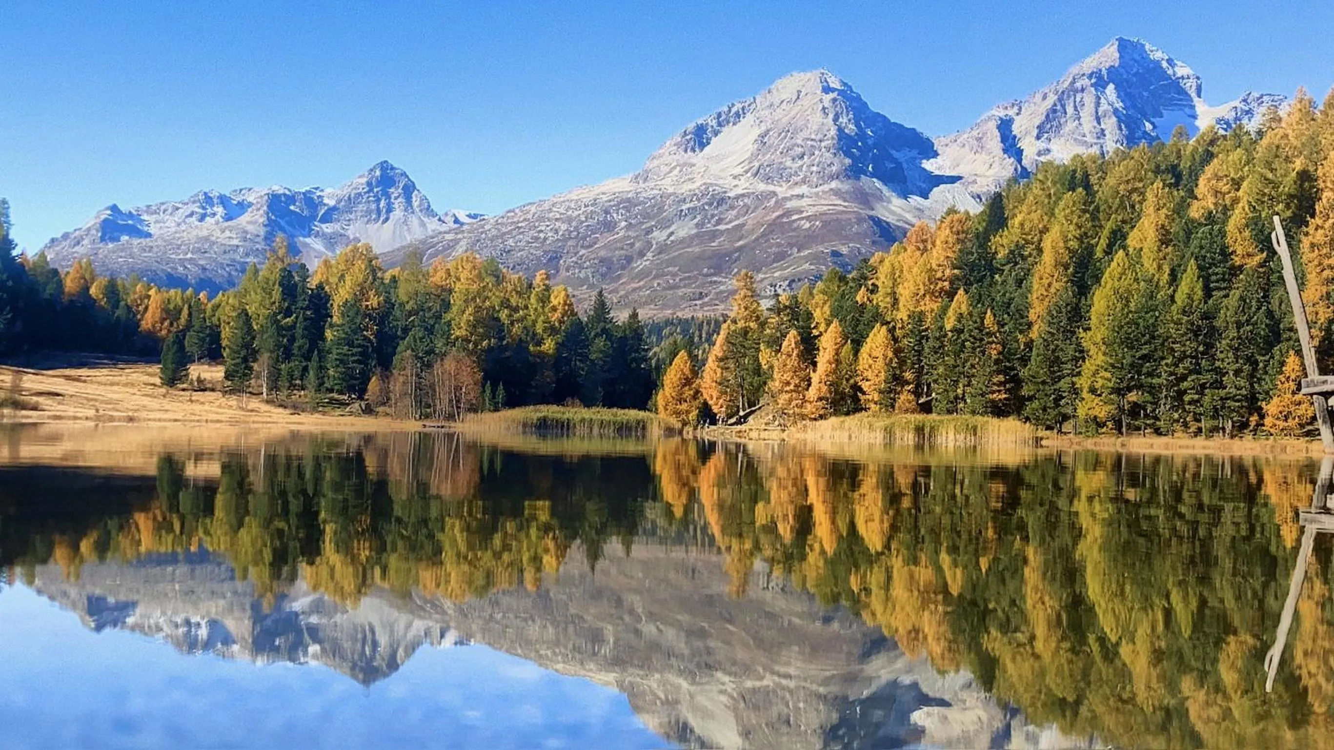 Activities in Hotel Schweizerhof Sils Maria, a Faern Collection Hotel
