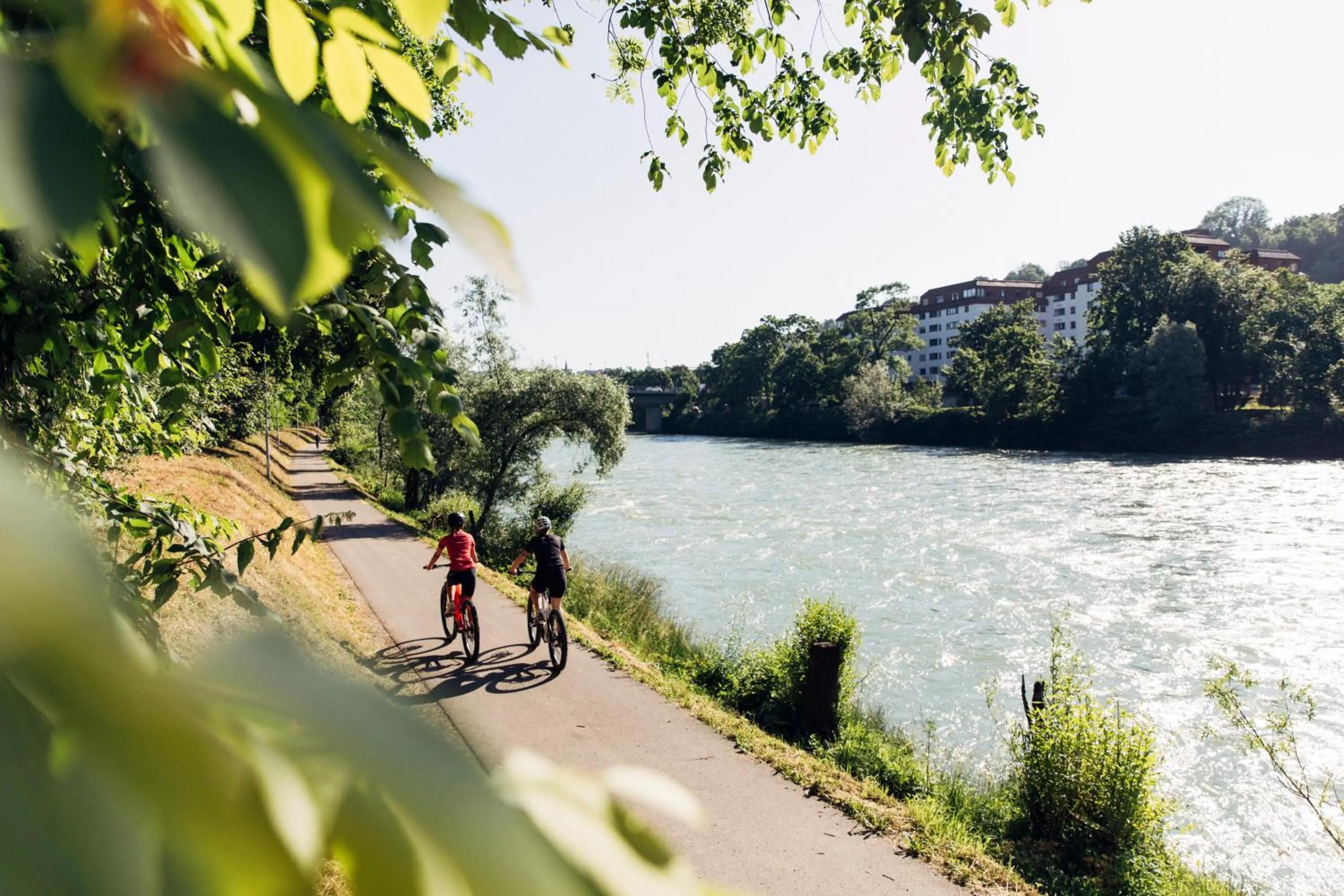 Activities in harry's home Steyr hotel & apartments