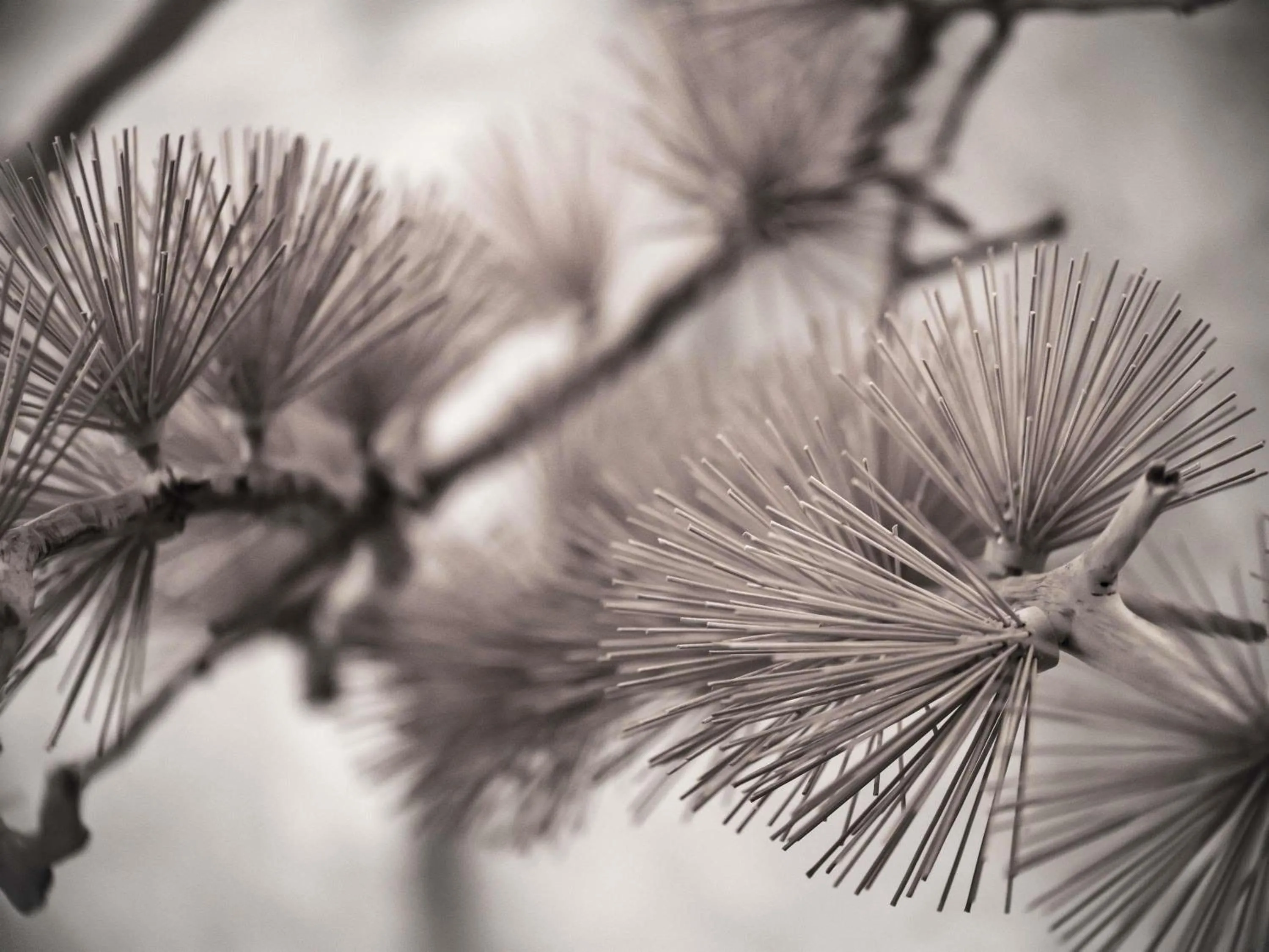 Property building in Novotel Changsha International Exhibition Center