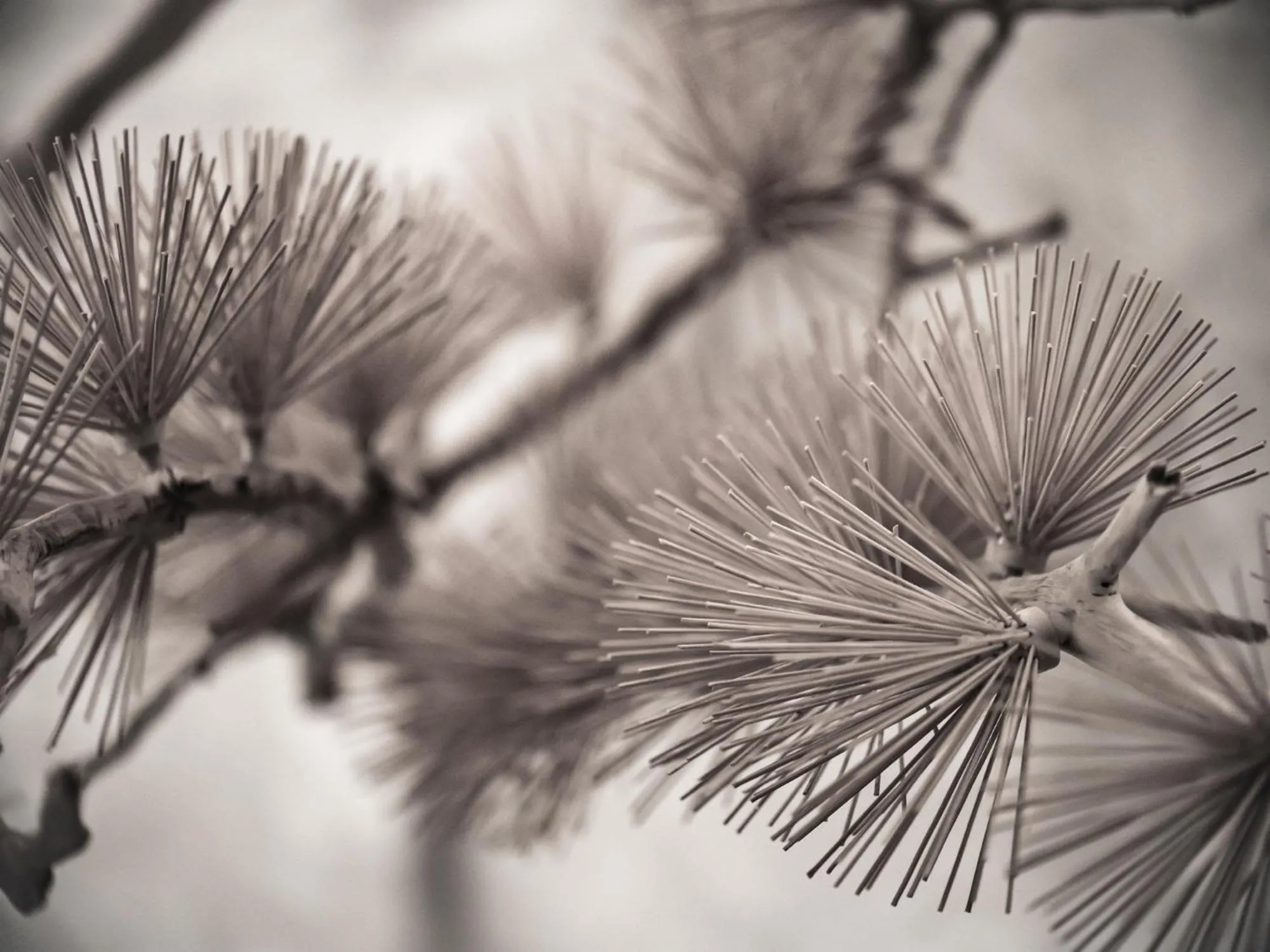 Decorative detail in Novotel Changsha International Exhibition Center