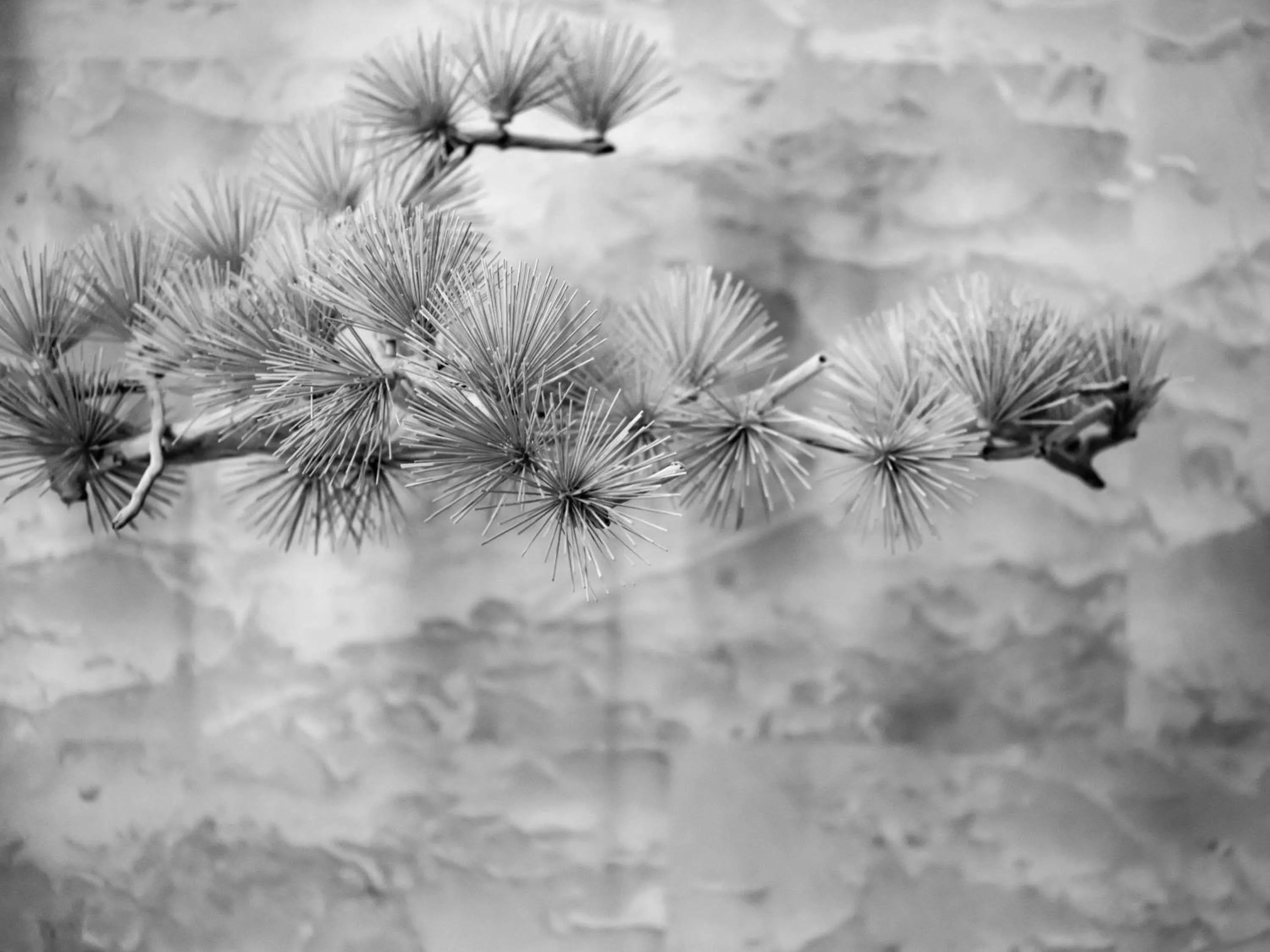 Property building in Novotel Changsha International Exhibition Center