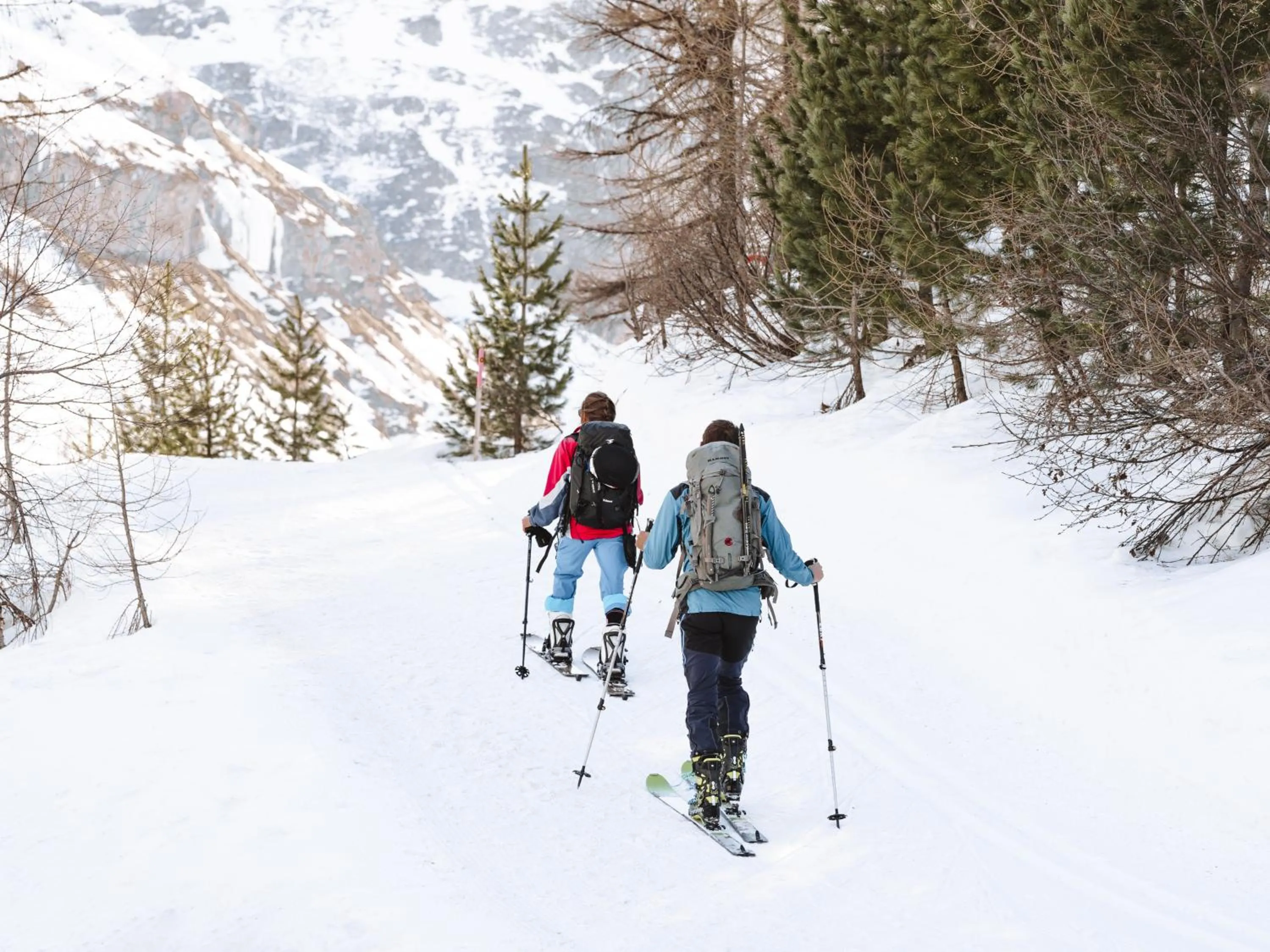 Natural landscape in Hotel Chesa Pool