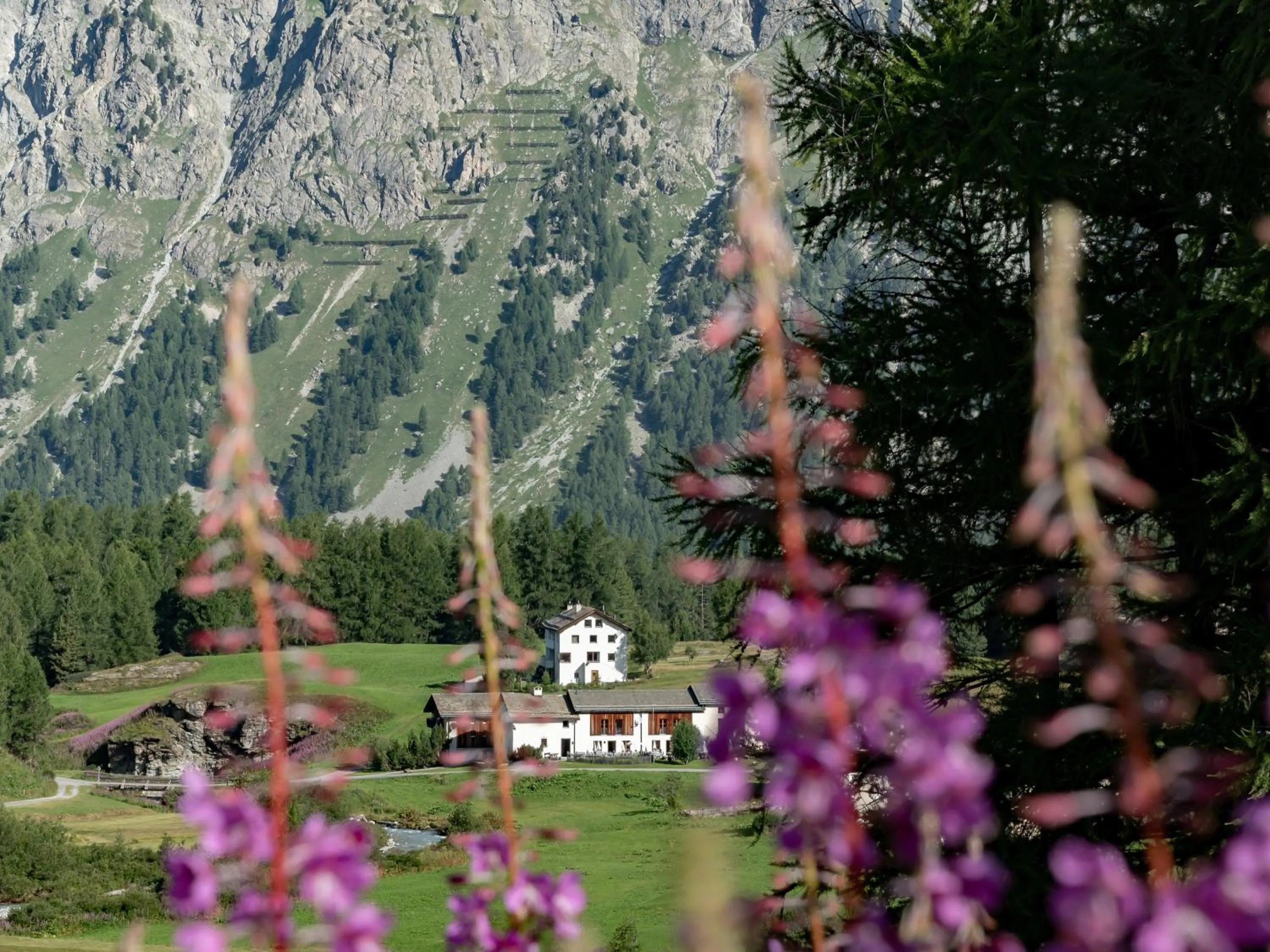 Property building in Hotel Chesa Pool