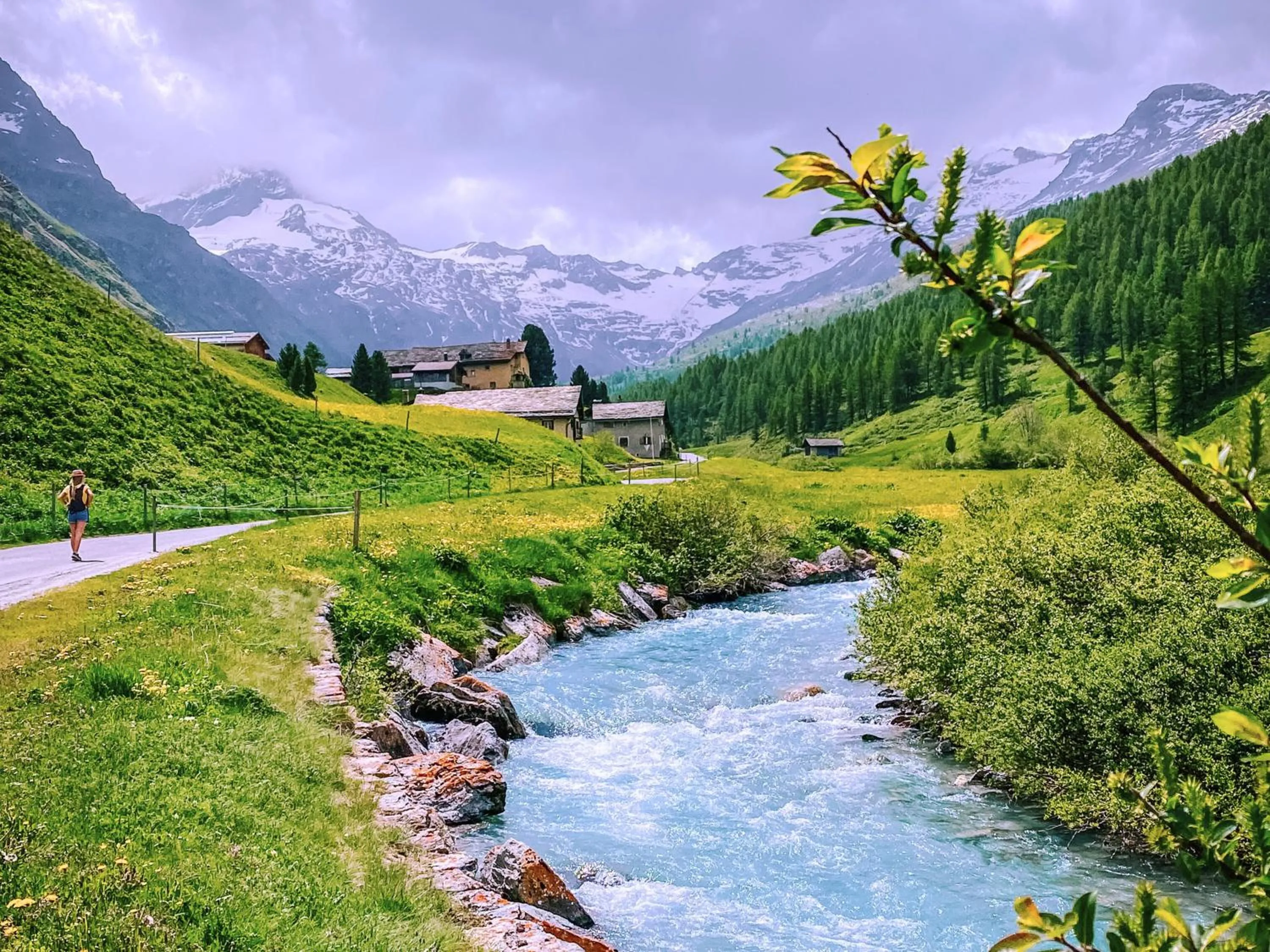Natural landscape in Hotel Chesa Pool