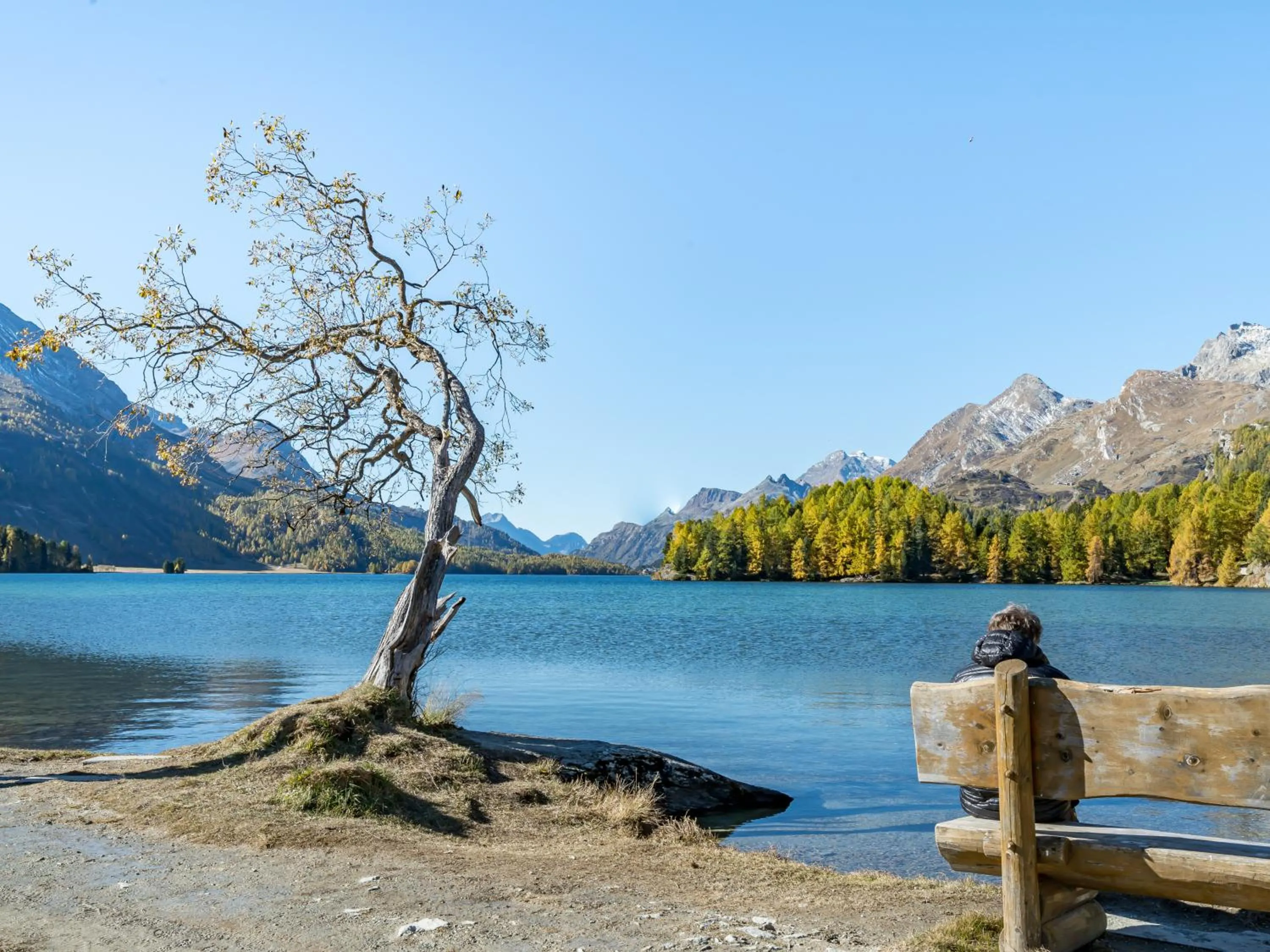 Natural landscape in Hotel Chesa Pool