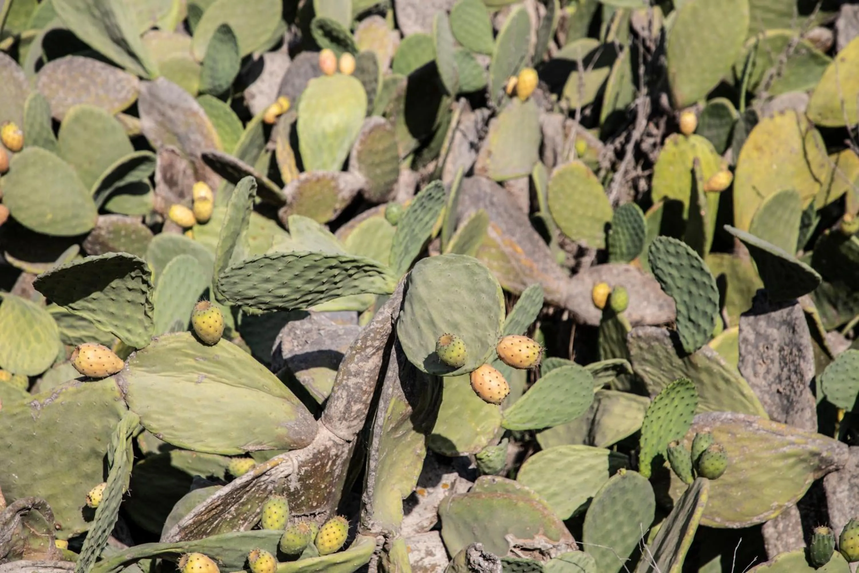 Decorative detail in Nimbus Santorini