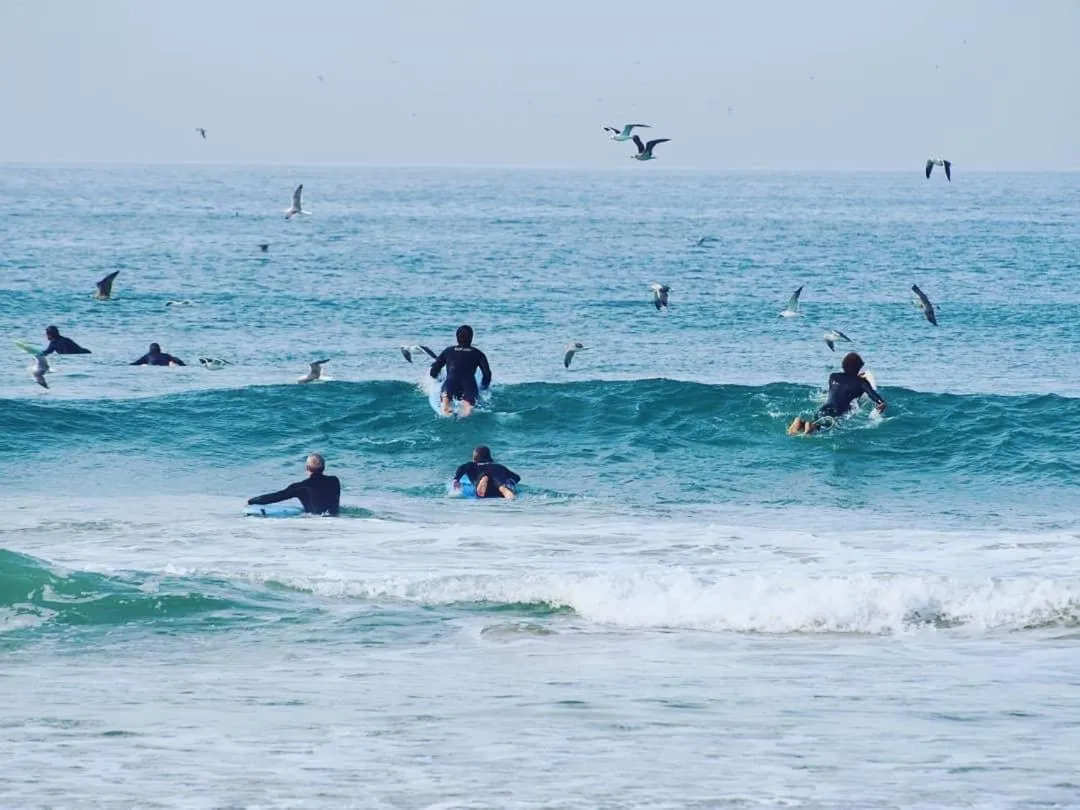 GetWet Surfcamp