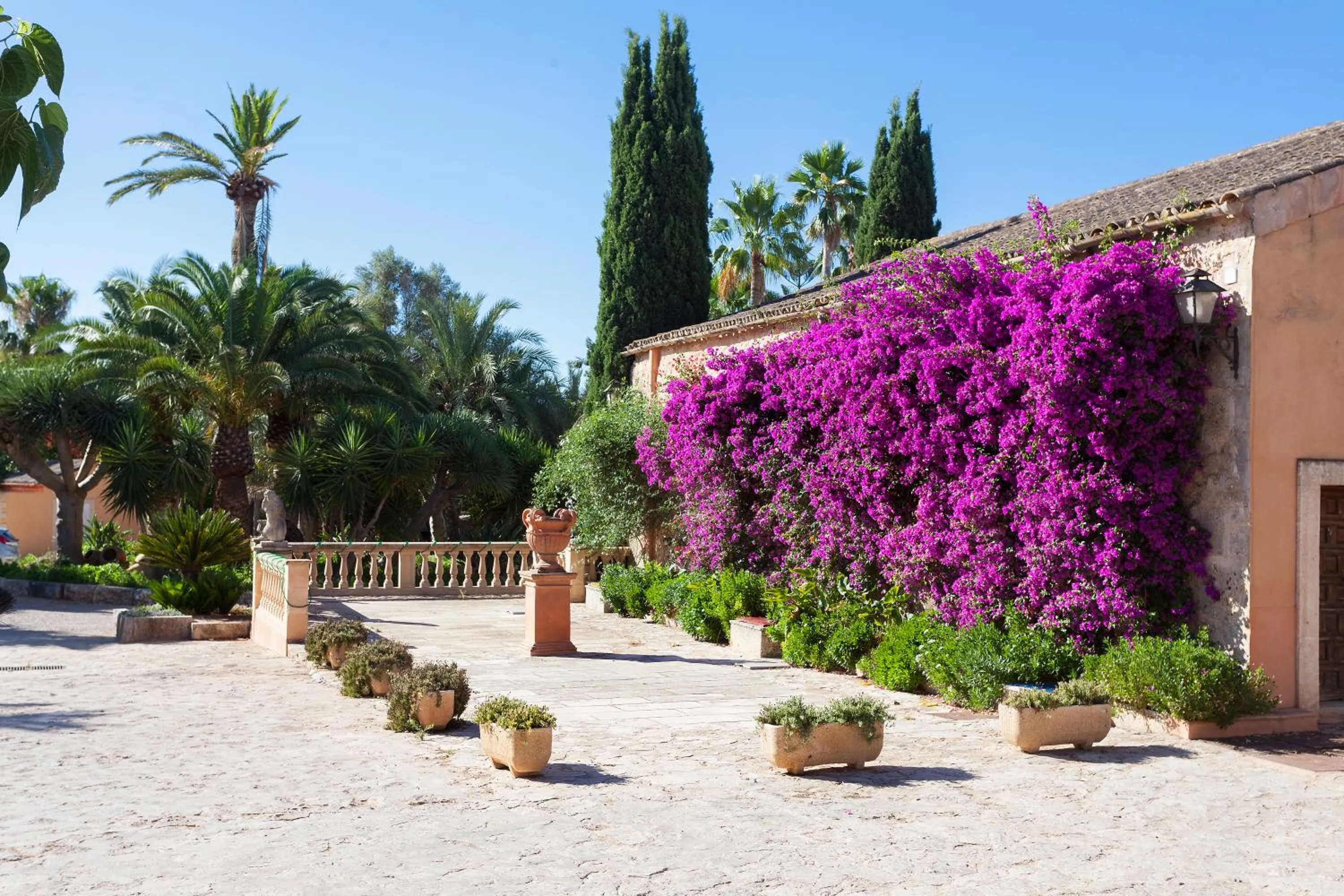 Off site in Es Revellar Art Resort - Adults Only