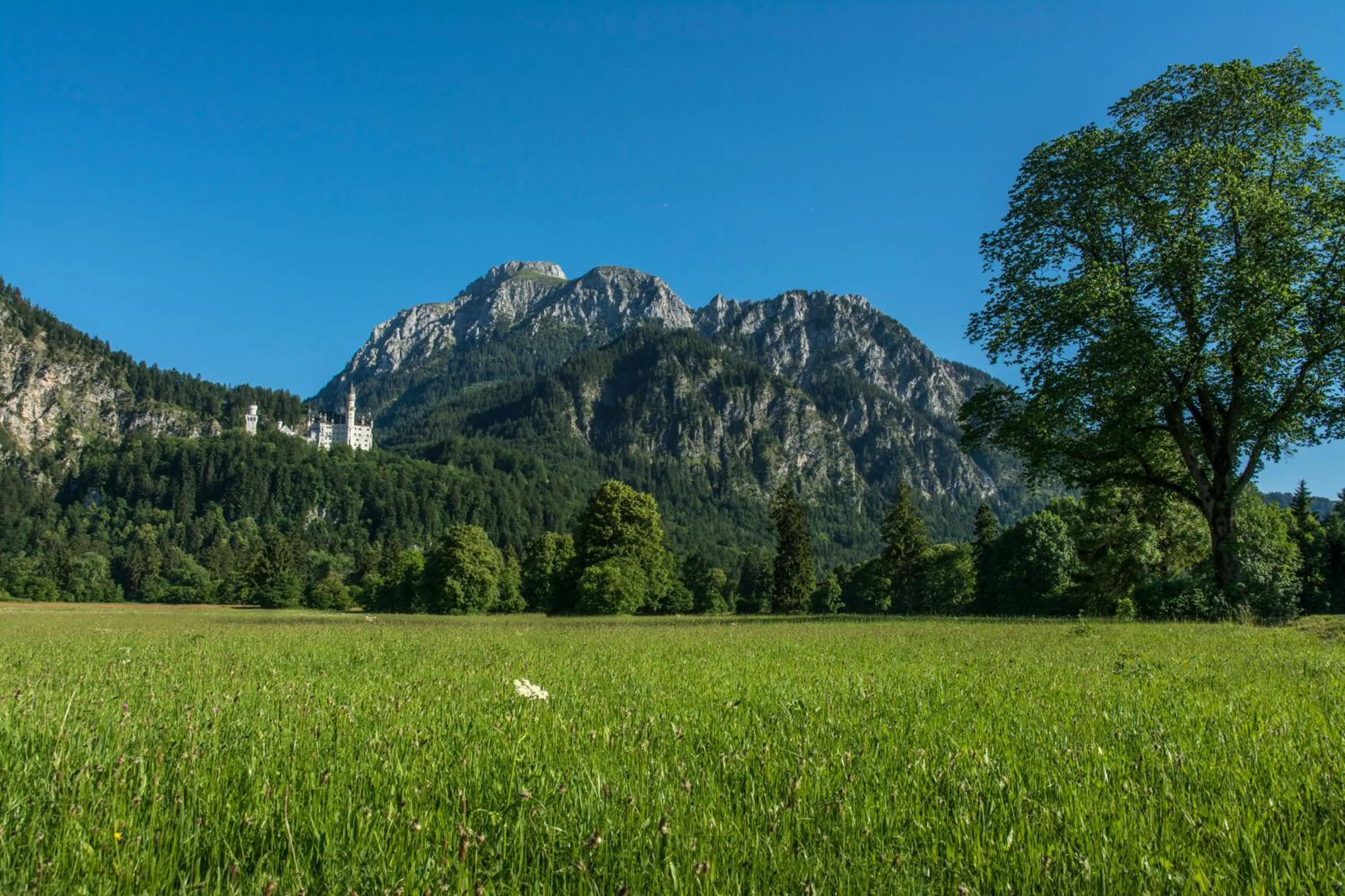 Nearby landmark in Hotel Alpspitz B&B