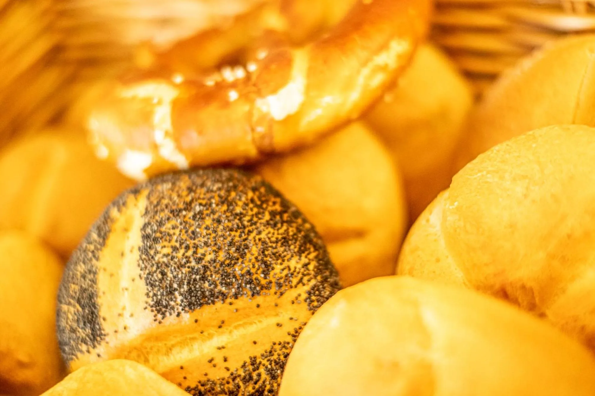 Staff in Hotel Alpspitz B&B