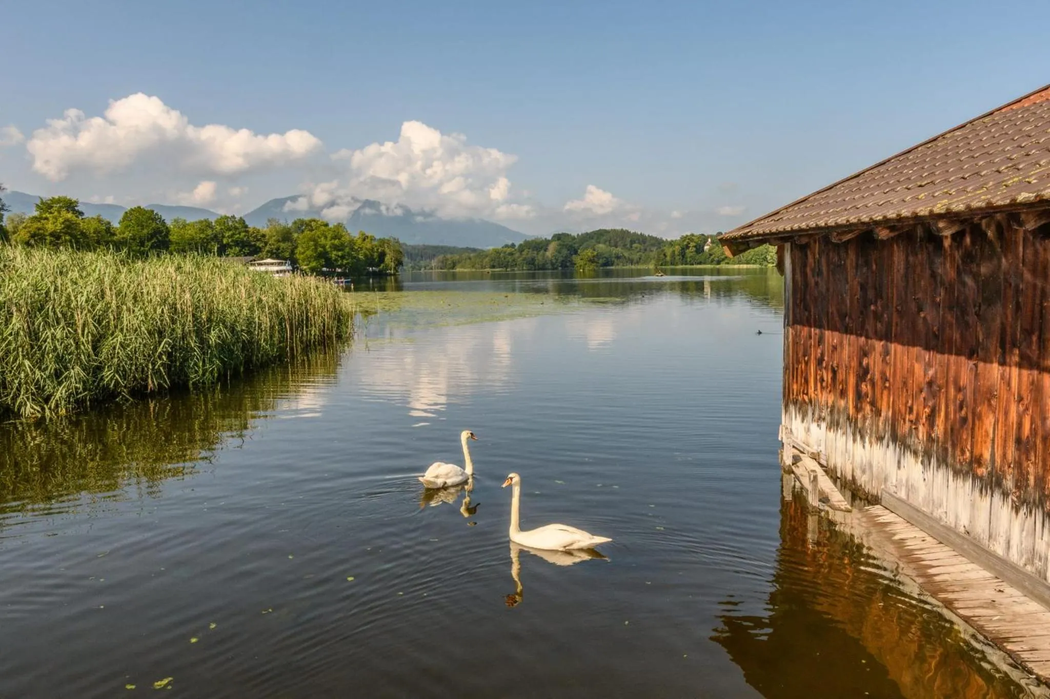 Nearby landmark in Hotel Alpspitz B&B