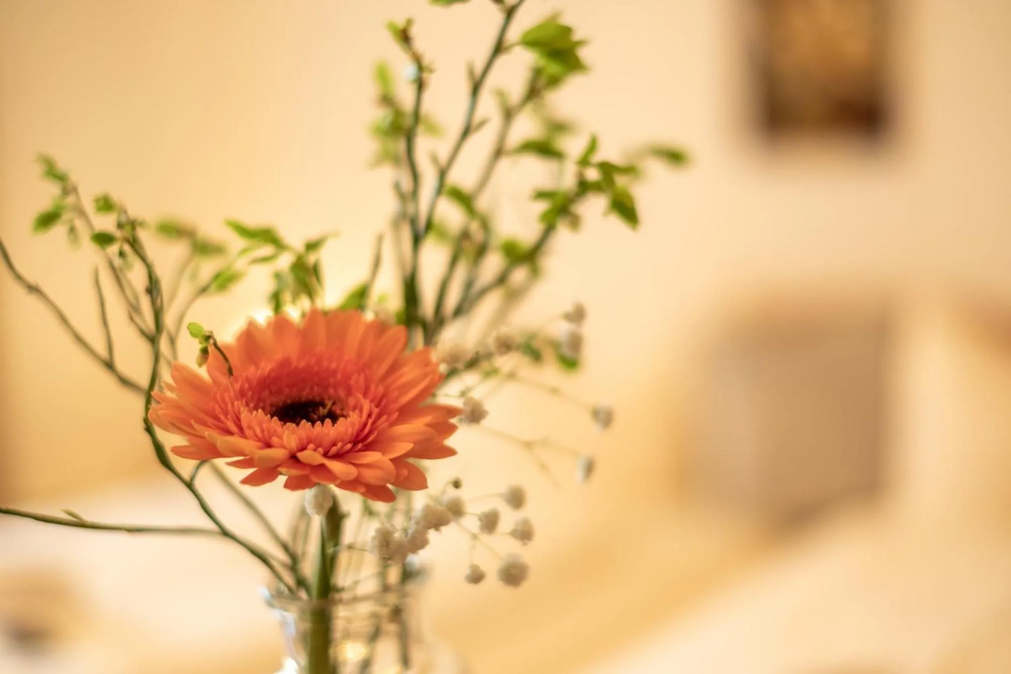 Nearby landmark in Hotel Alpspitz B&B