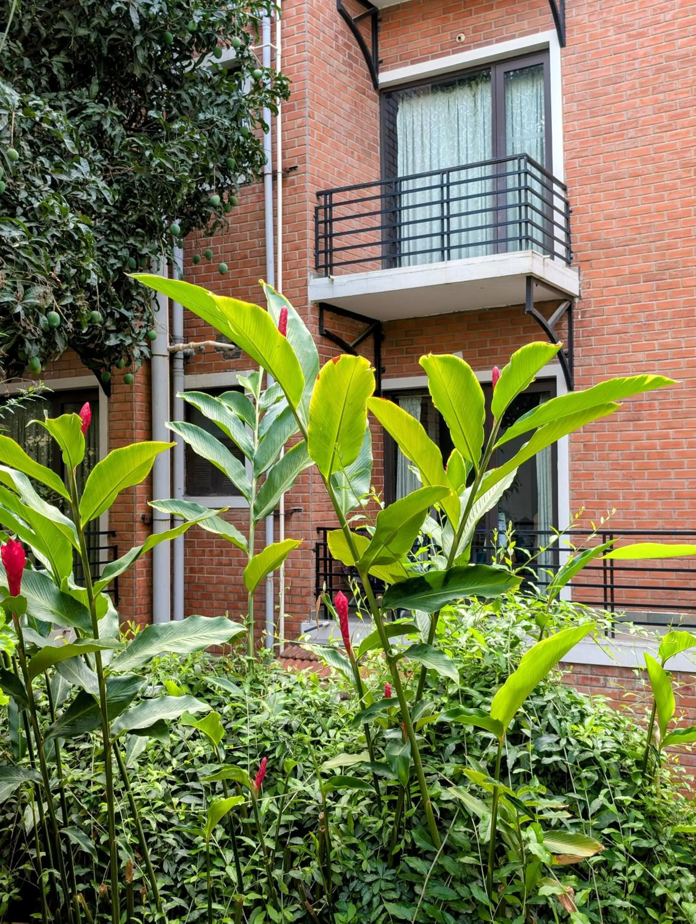 Transtree Brookefields - Corporate Stays