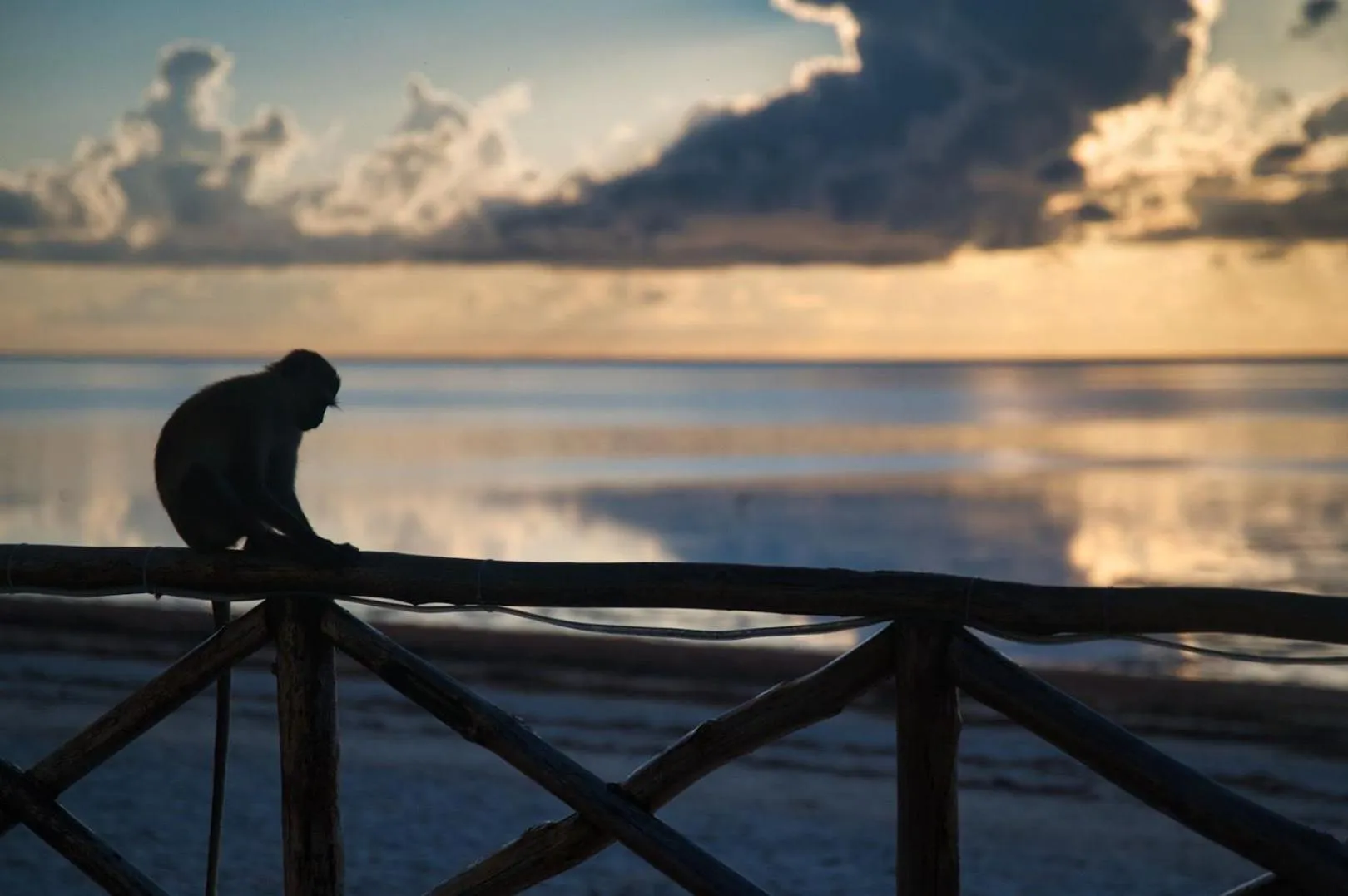 View (from property/room) in Sheratton Beach Villagio