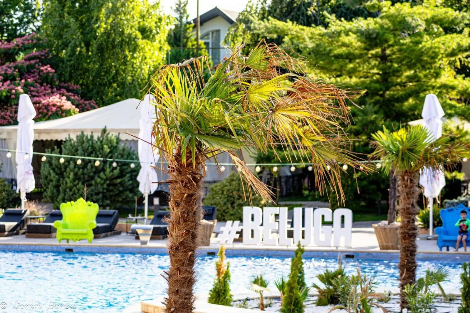 Swimming pool in Hotel Terra Balneo