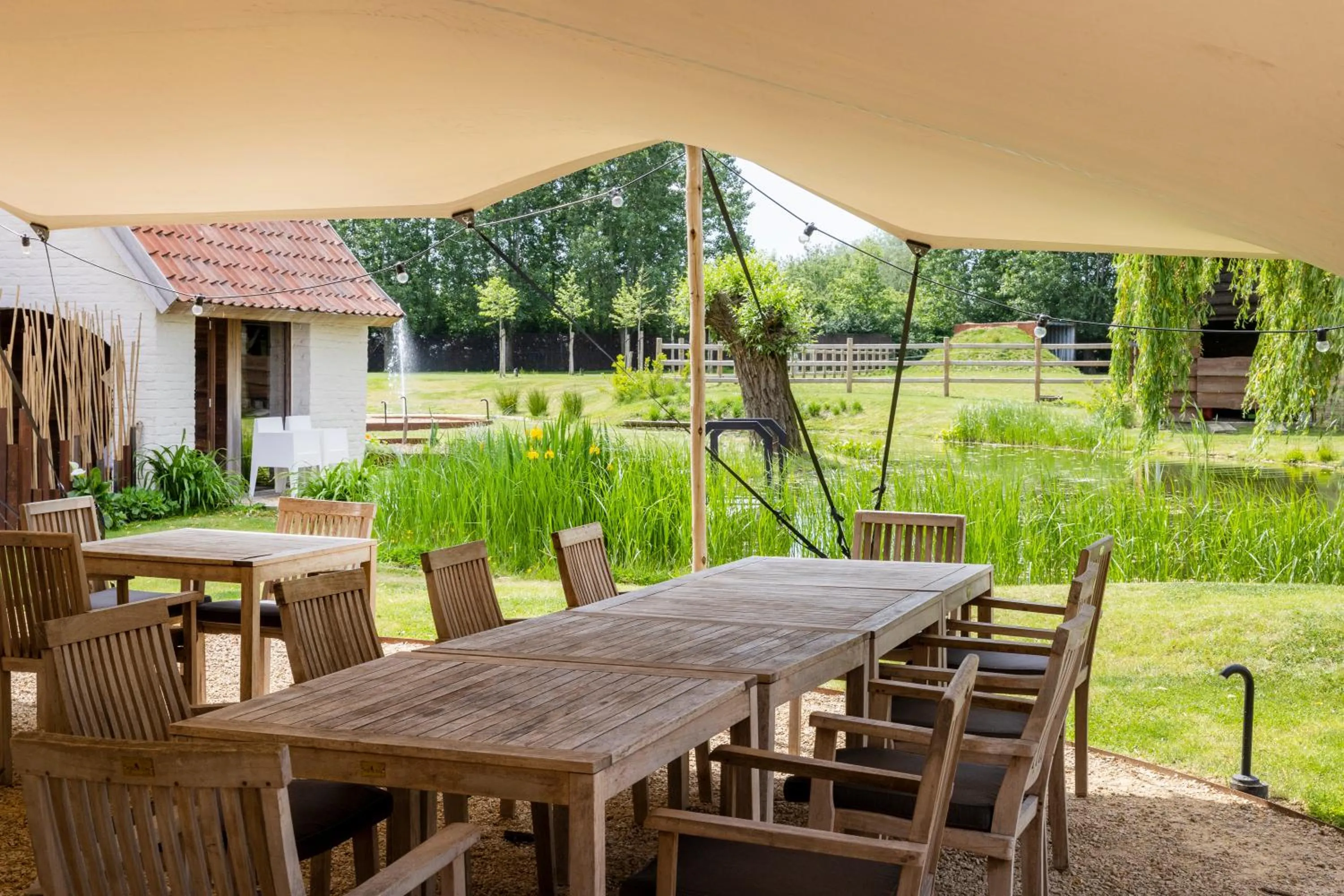 B&B Leonie