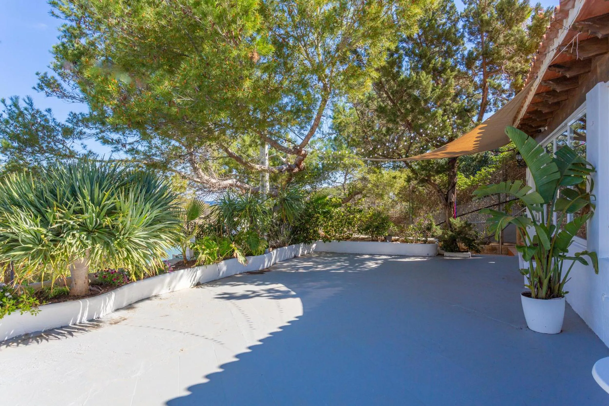 Garden view in Apartmentos Nort