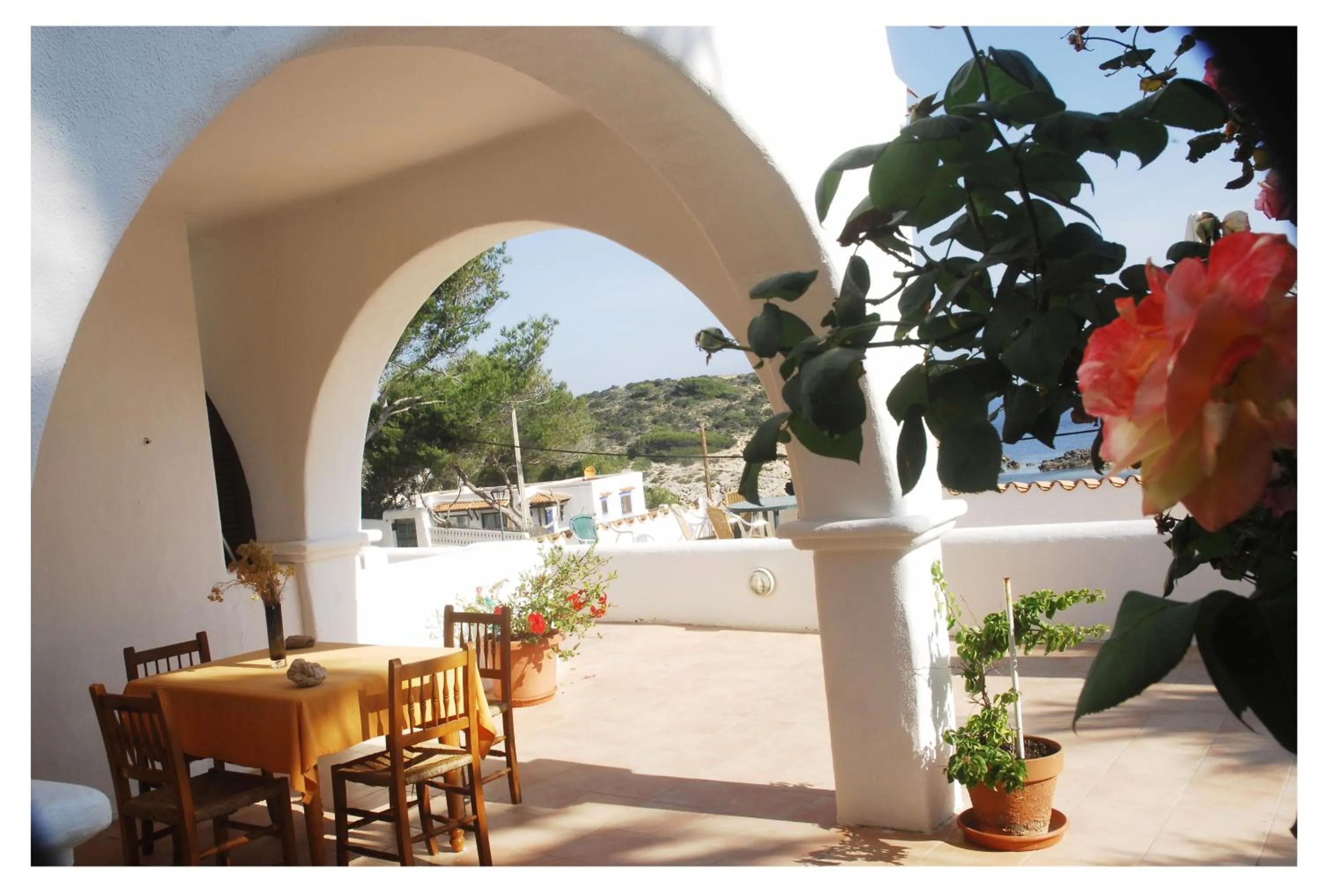 Balcony/Terrace in Apartmentos Nort
