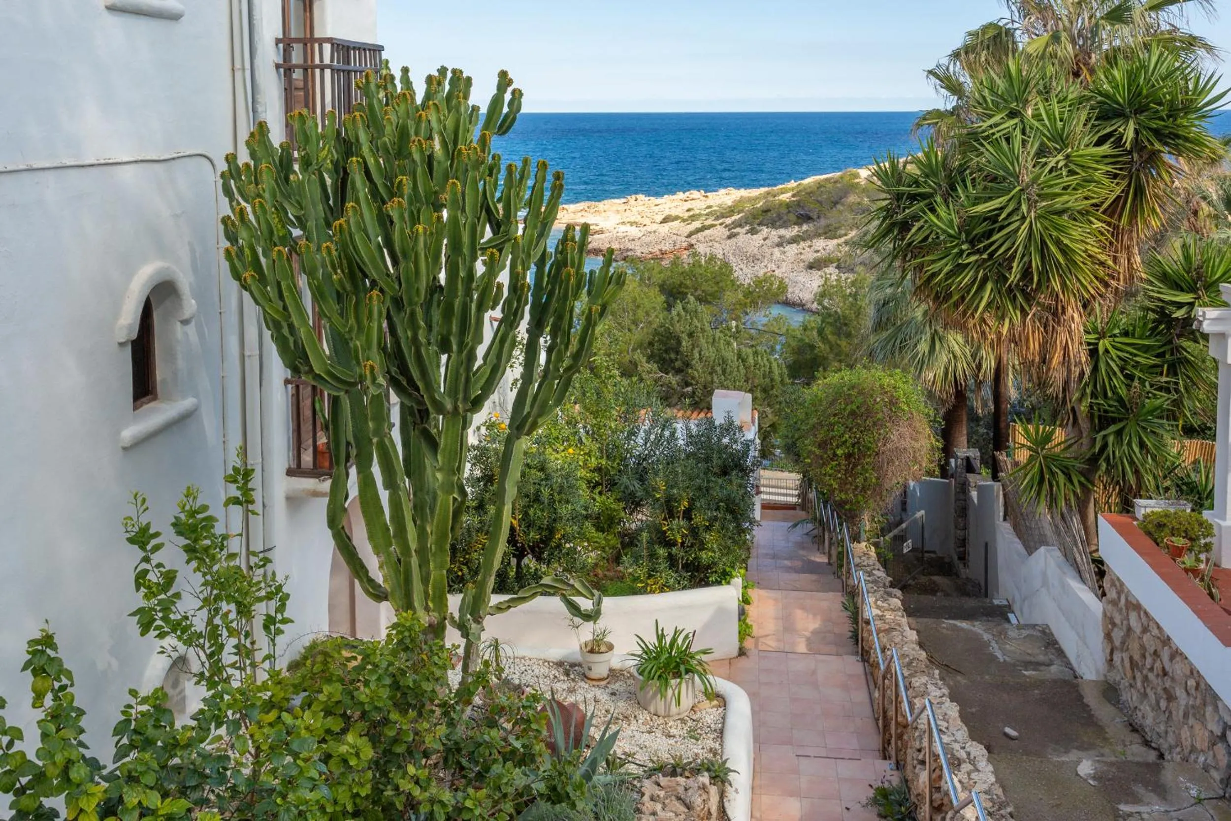 Garden in Apartmentos Nort