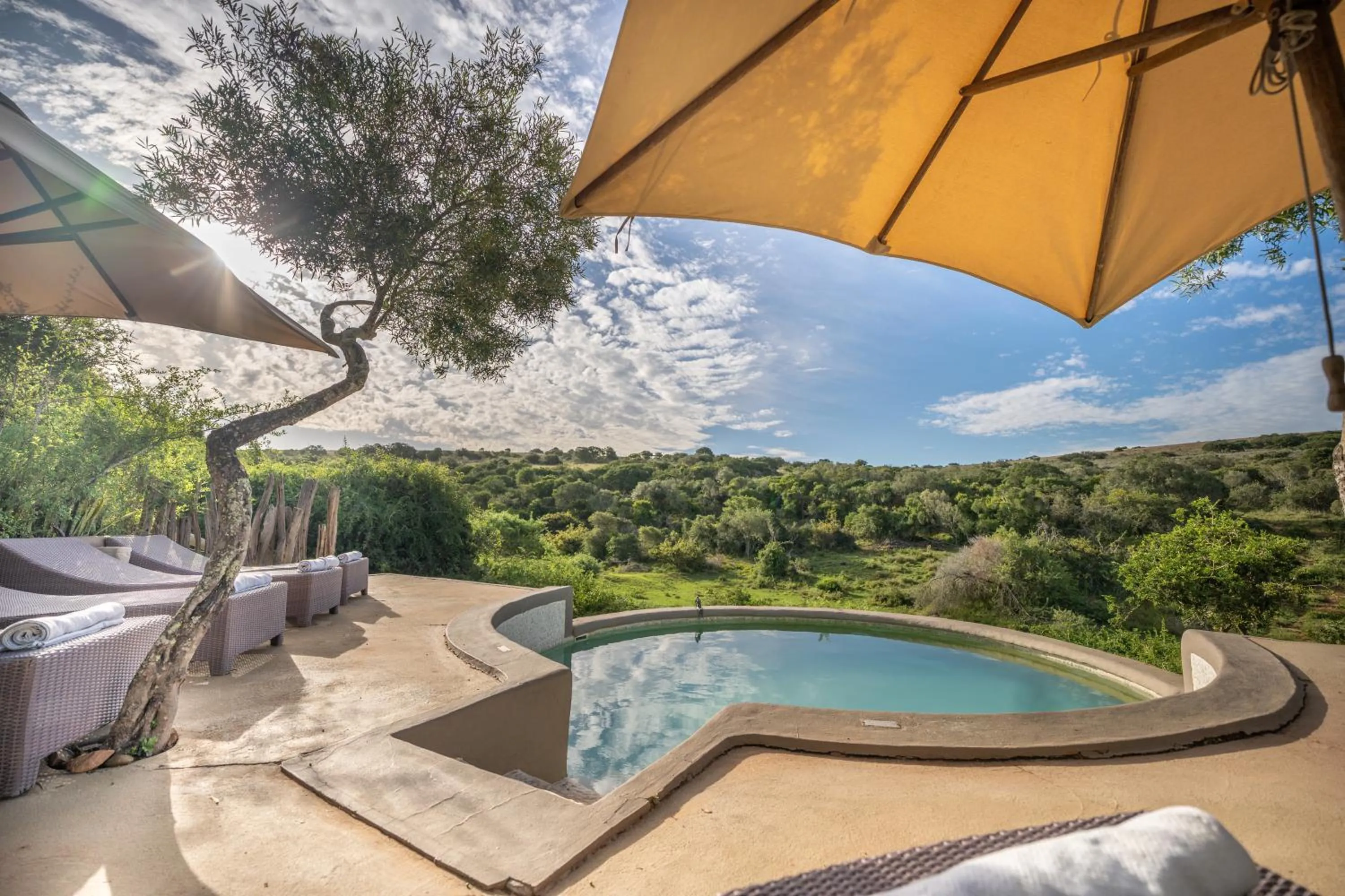 Swimming pool in Safari Lodge - Amakhala Game Reserve