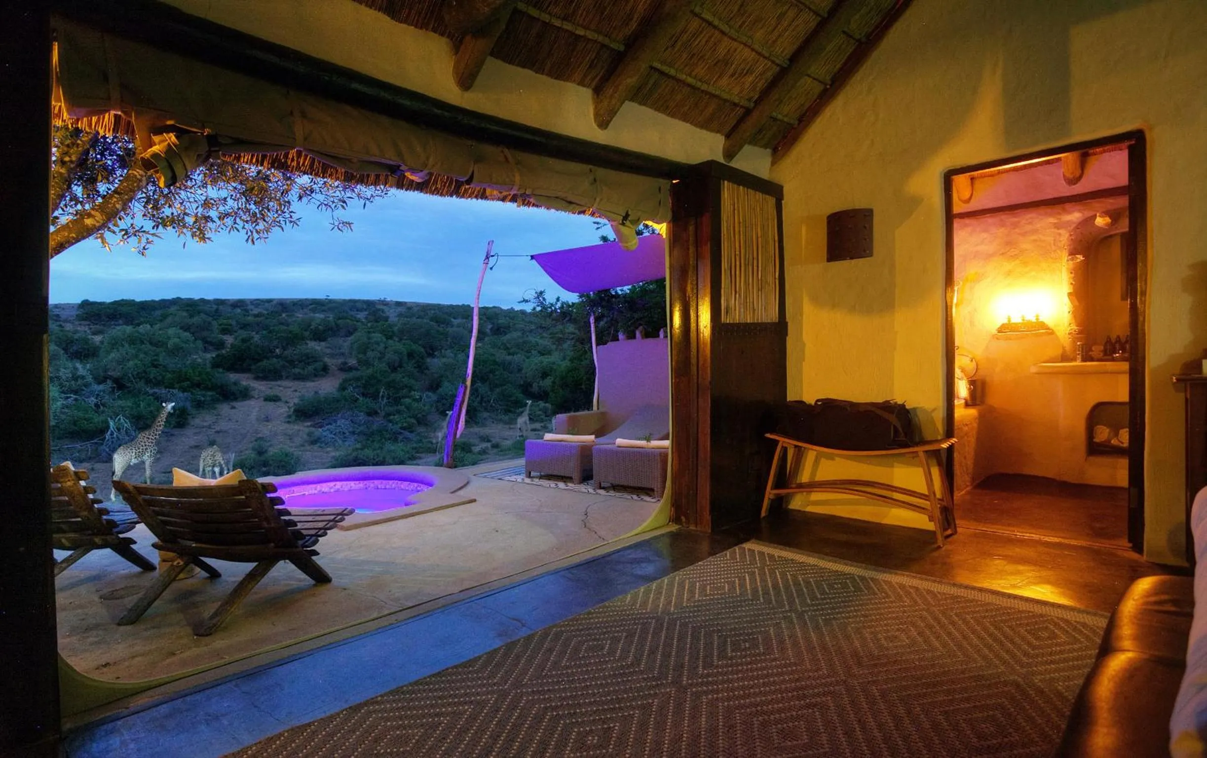 View (from property/room) in Safari Lodge - Amakhala Game Reserve