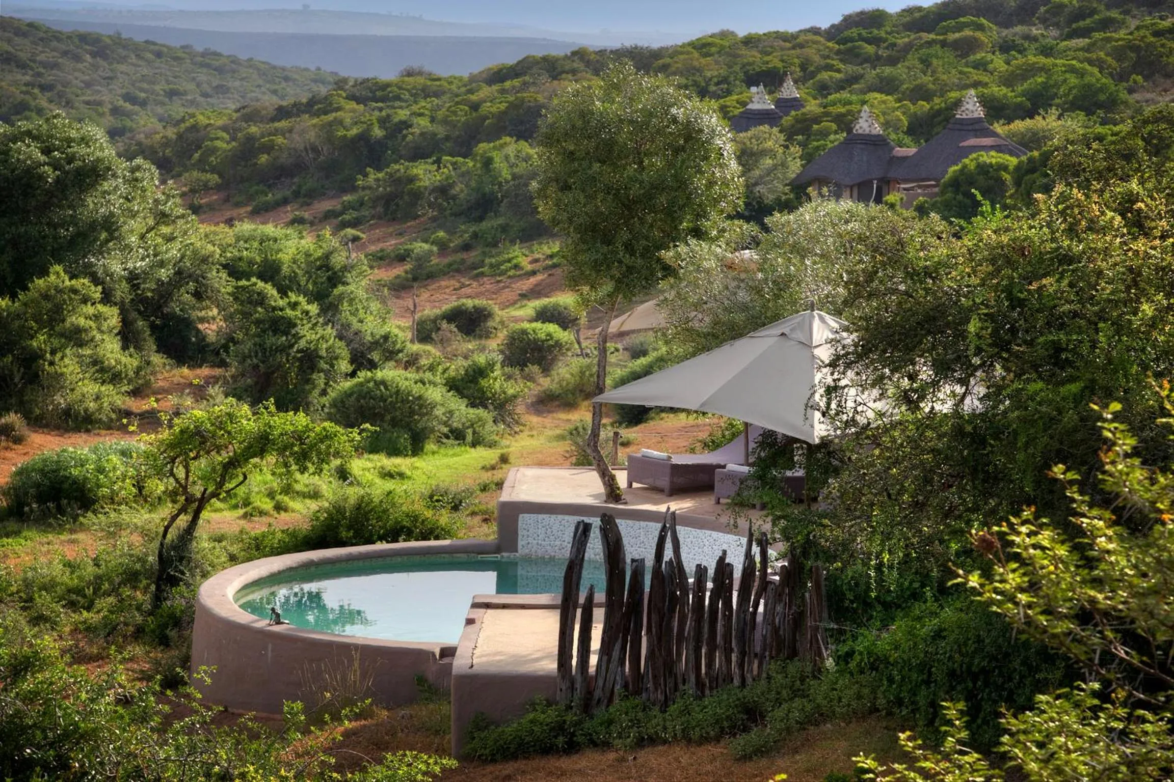 Swimming pool in Safari Lodge - Amakhala Game Reserve